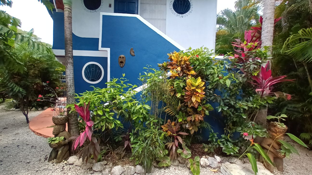 Des Trains Pas Comme Les Autres Costa Rica Casas Maiana Mango 2: un havre de paix. - Appartements à louer à Sámara
