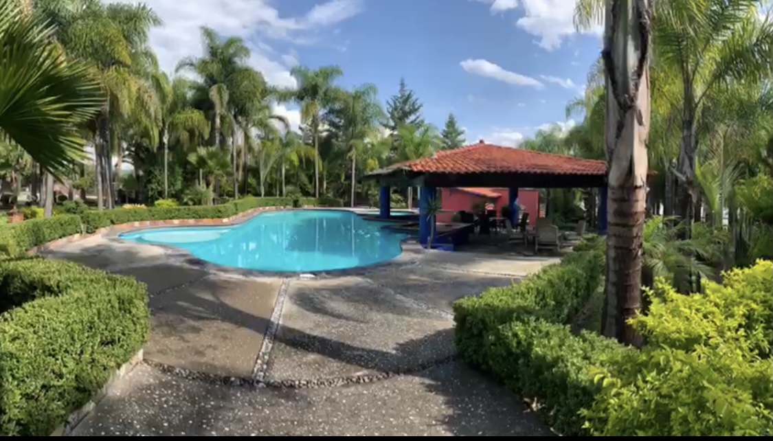 ¿Cuántos proveedores de catering has visitado? 7