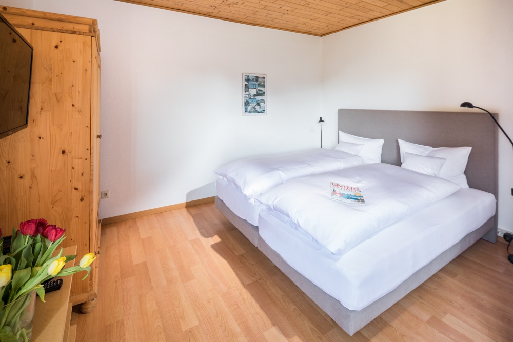 1-room apartment - Birkenhof