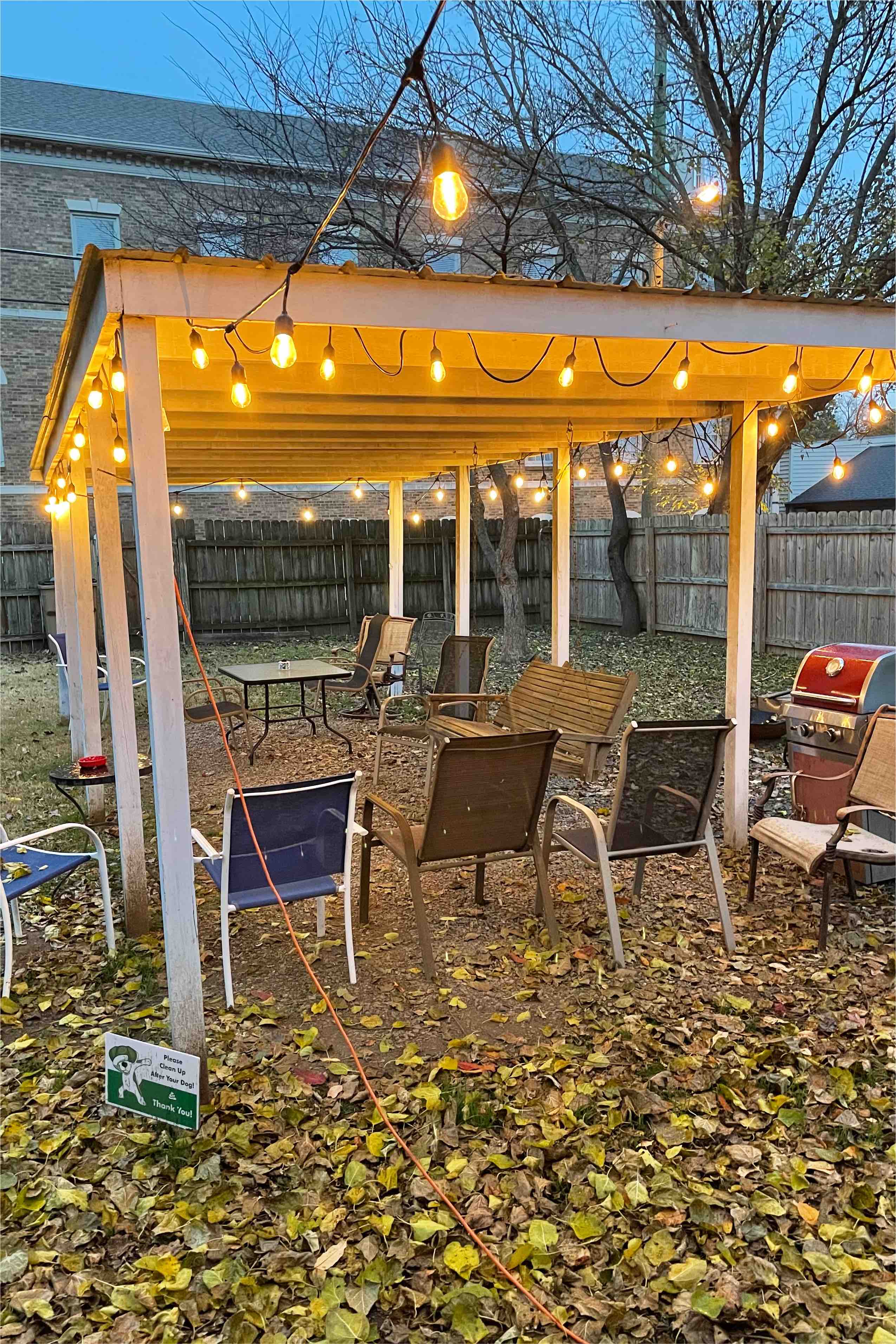 Pets Nashville Craigslist - 992ehi3