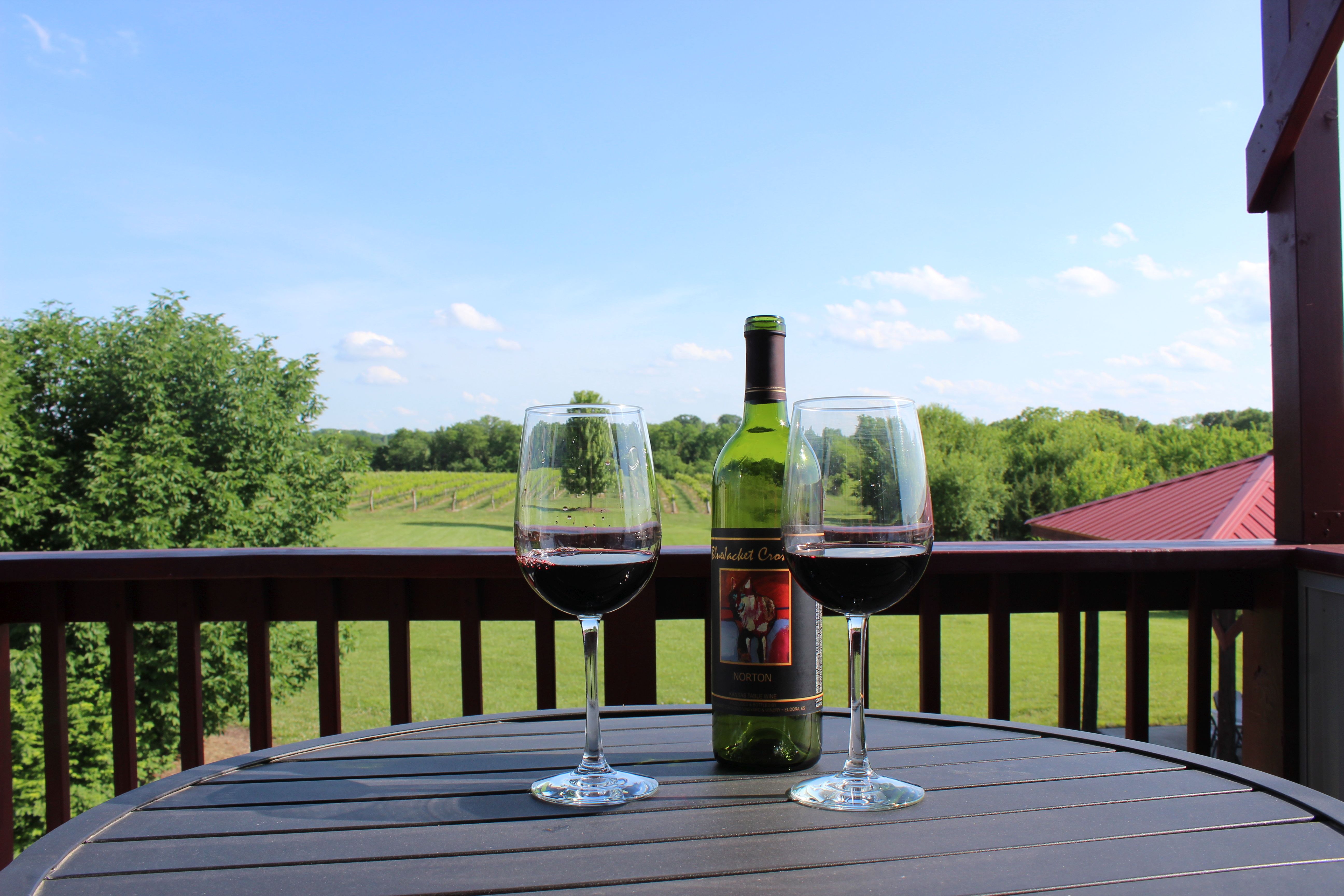 Relaxing Vineyard Getaway Guest suites for Rent in Eudora, Kansas