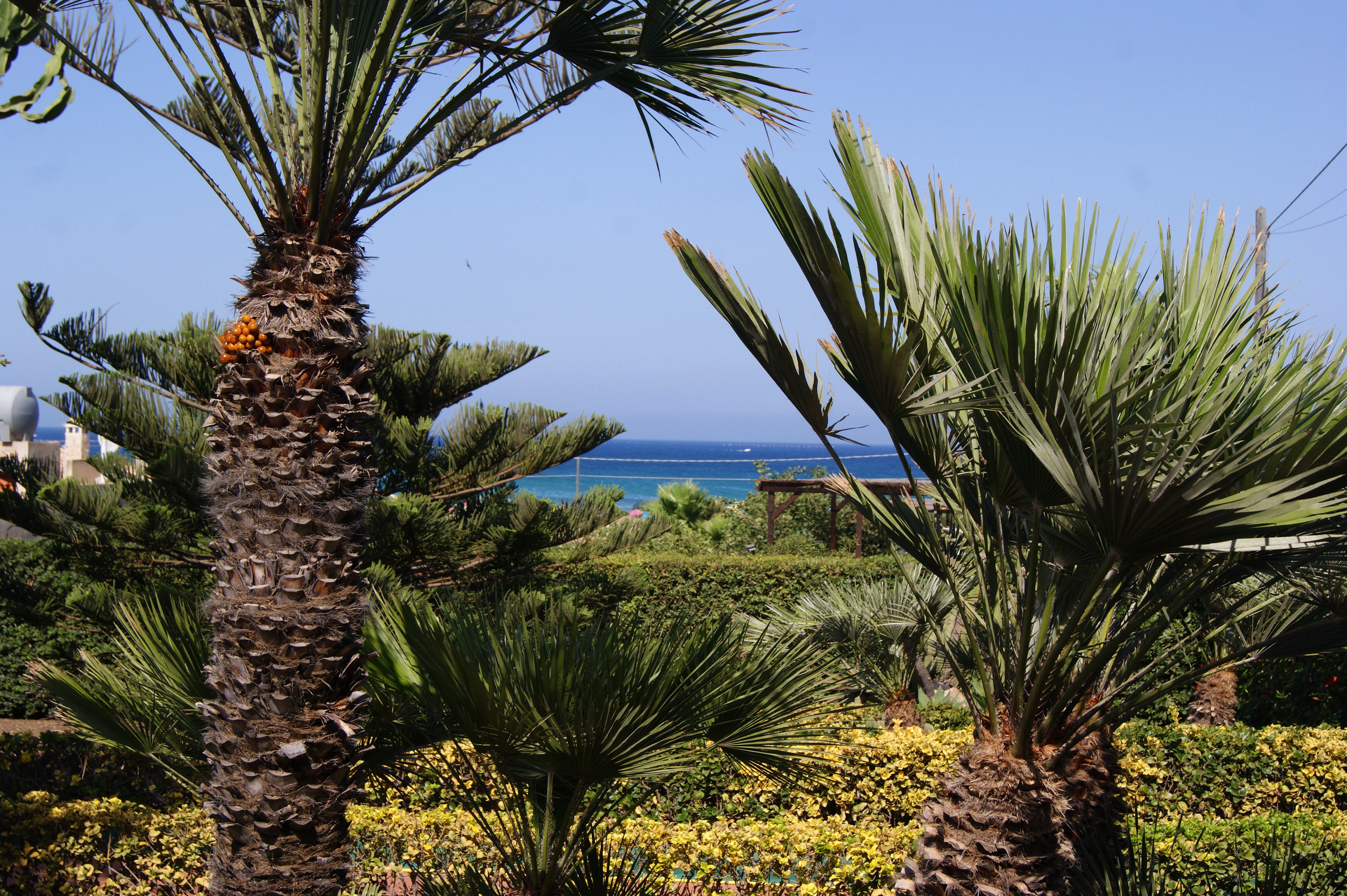 Villa Milena 100 meters from the sea