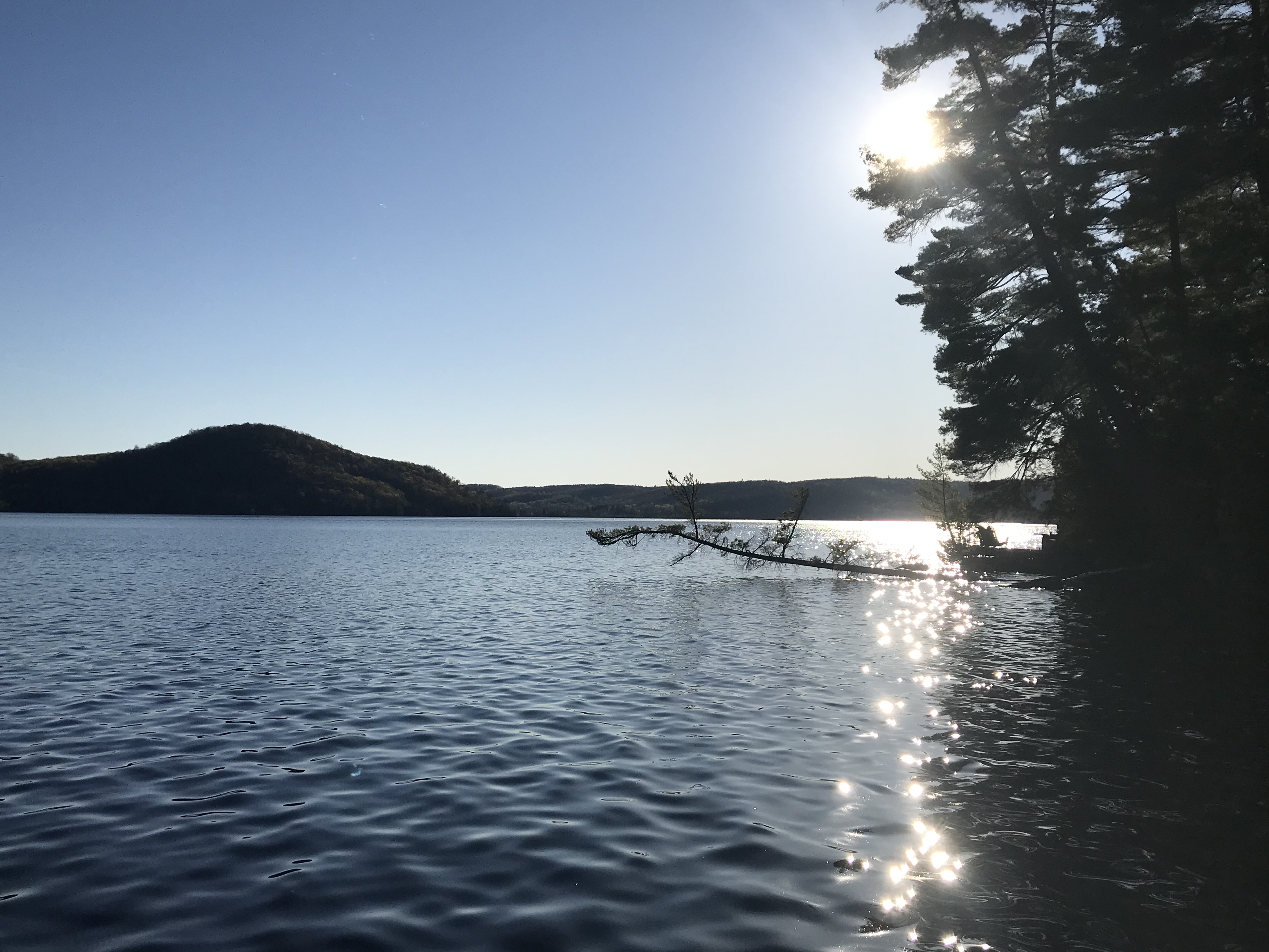 Elephant Lake Cottage for Rent East Bay Cottages for Rent in Dysart and Others, Ontario