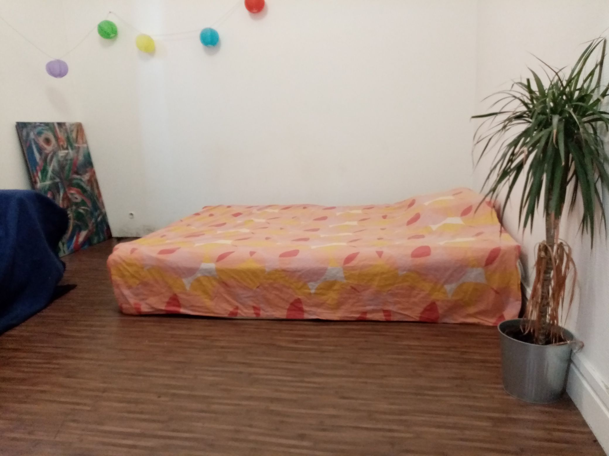 Chambre dans le centre de Lyon in 7e Arrondissement, Lyon