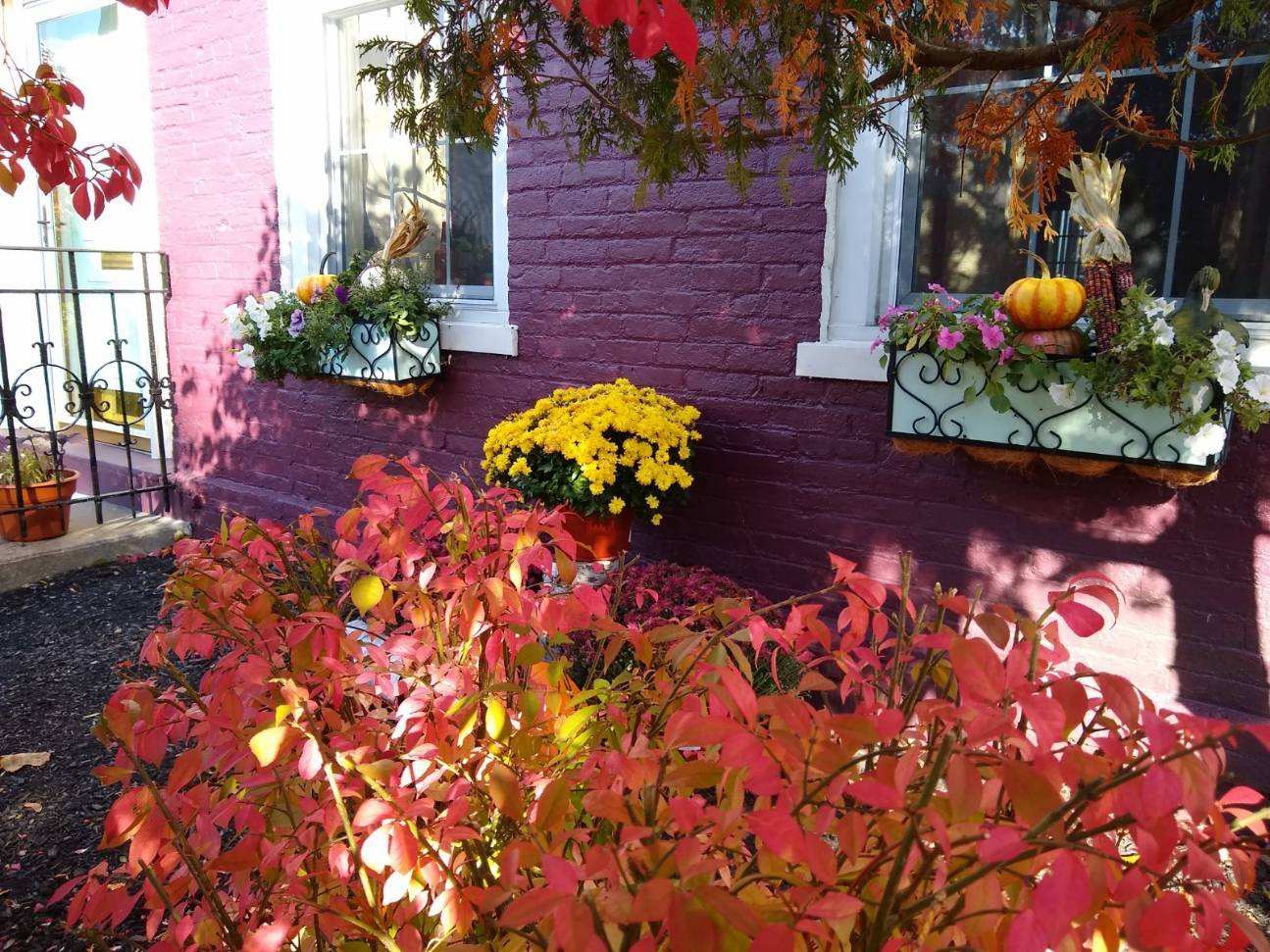 Plum House:  Row House charm in Historic District