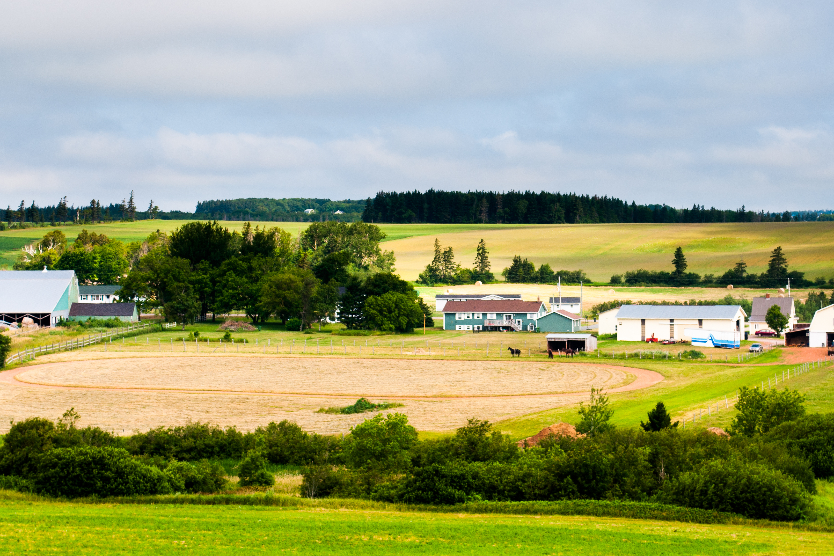 The Rancher : 3 bed spacious rural apartment