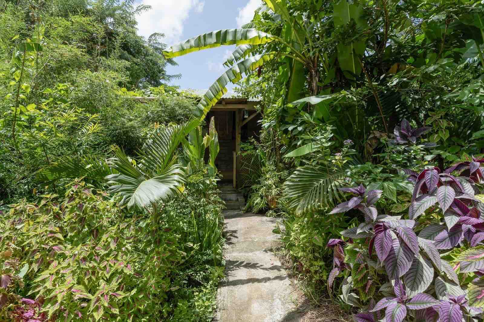 Sizo Treehouse Cottage
