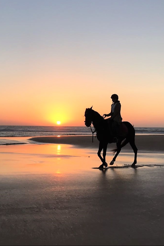 Balade à cheval "coucher du soleil" 1h - Airbnb