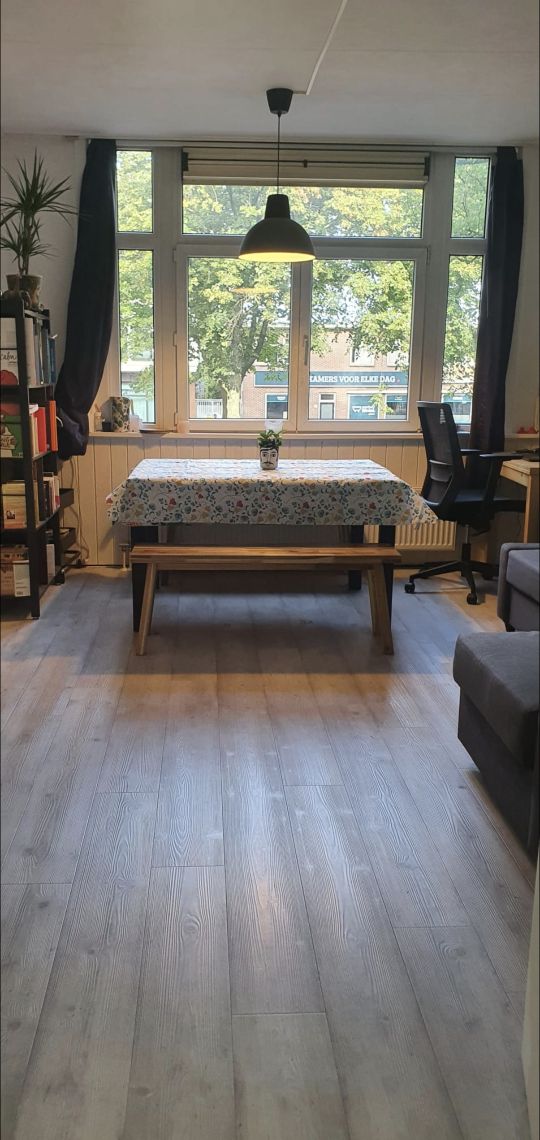 Sunny and cozy place in Amsterdam west — Amsterdam stay
