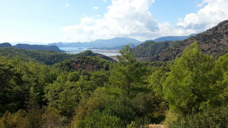 GÖKBEL DALYANORTACAMUĞLA Muğla şehrinde Kiralık Evler, Muğla