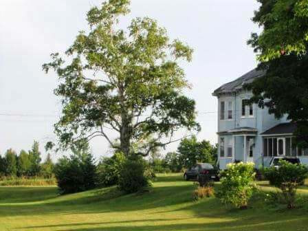 Windswept Farms 2 Lady Jane Grey Room in Wicklow, New Brunswick
