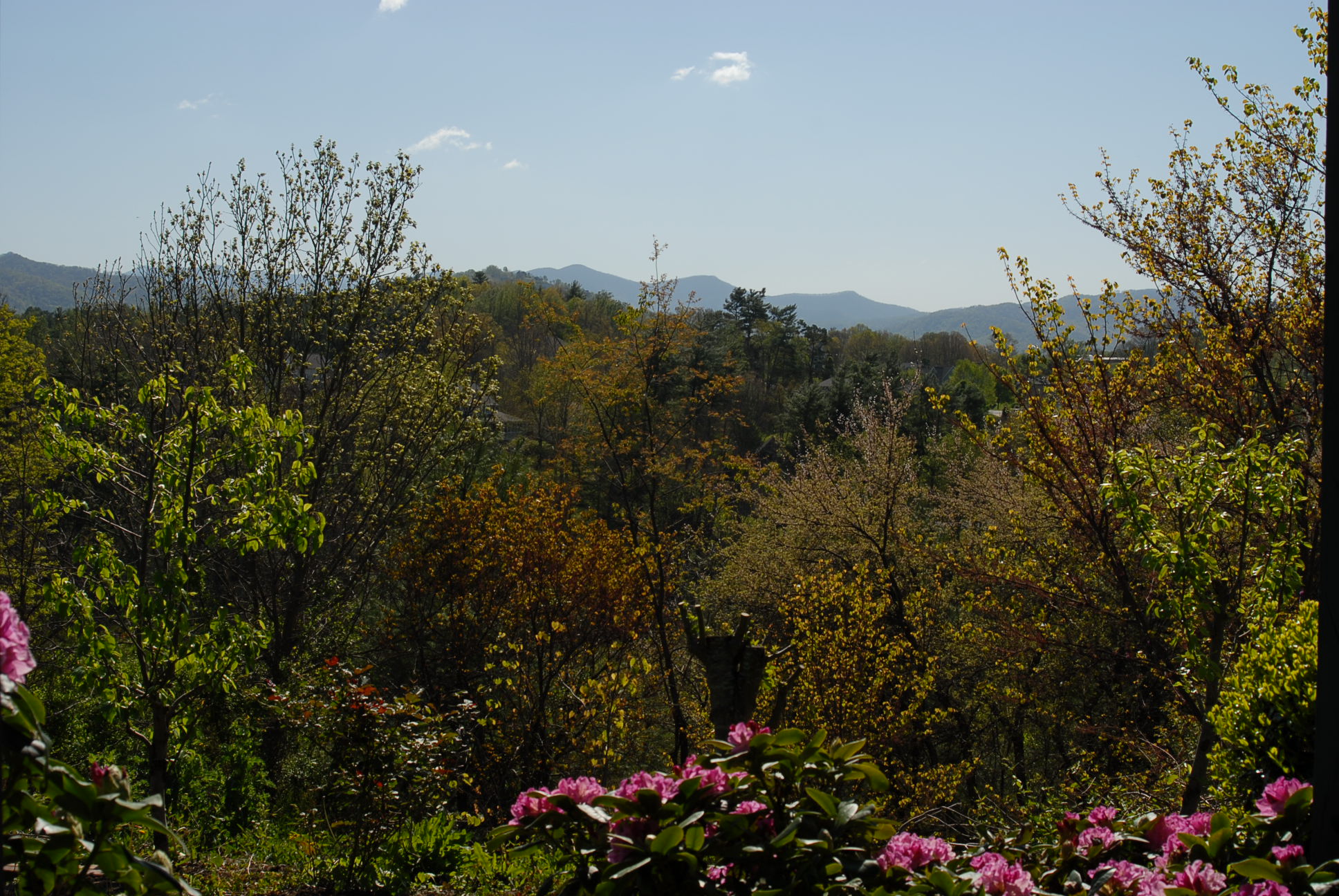 Lovely Blue Ridge Haven Near Asheville, NC! Guest suites for Rent in