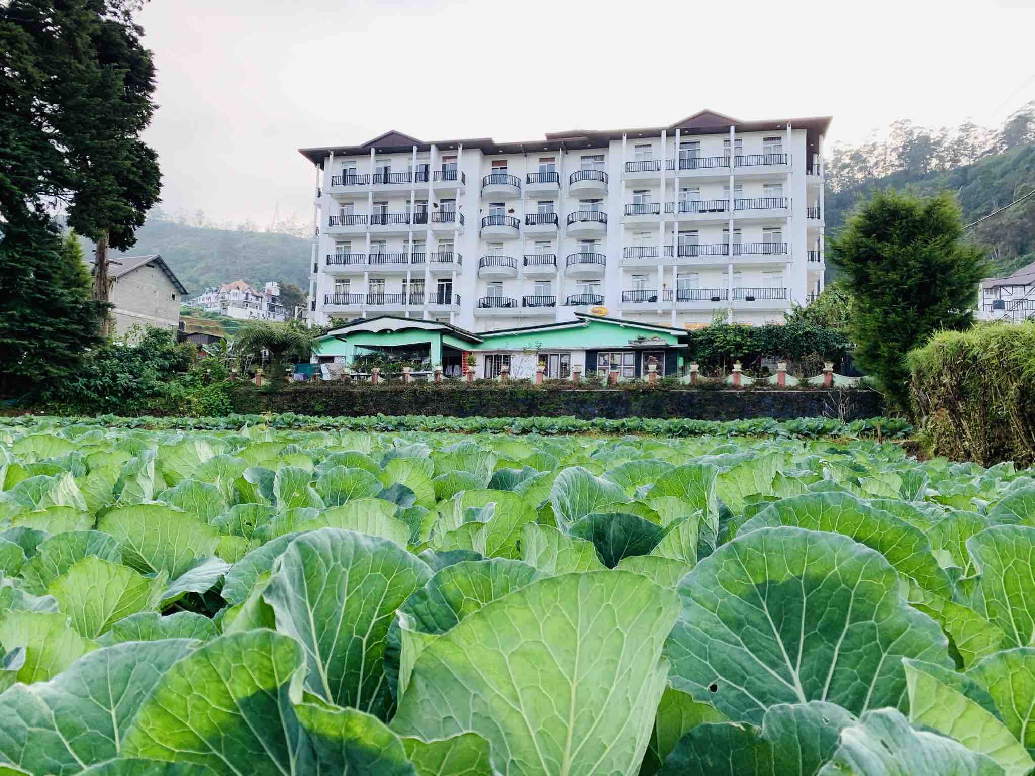 City Apartment 2bedroom(city centre) NuwaraEliya