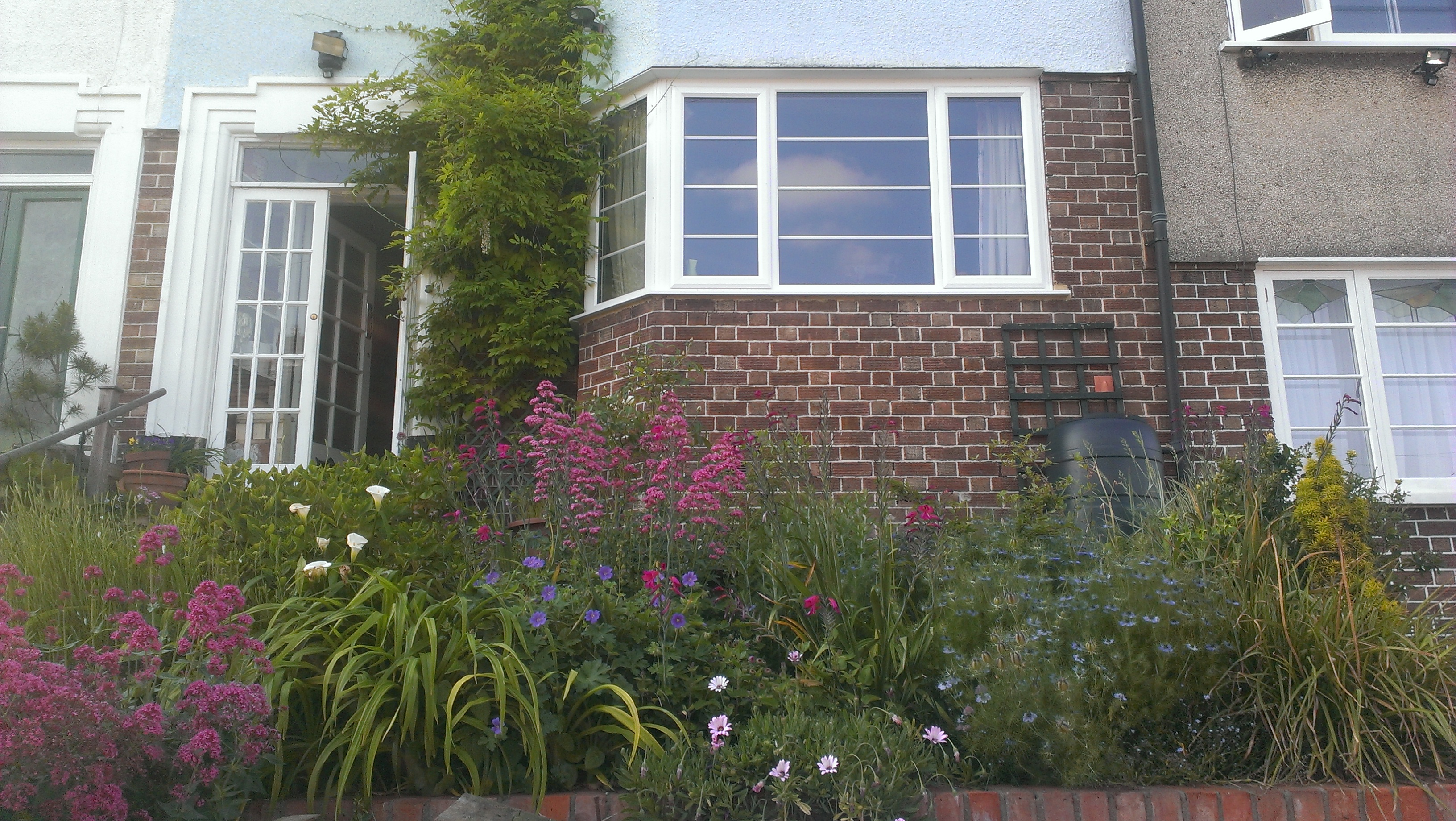 20 mins to Stokes Croft, city centre, green oasis in Ashley, Bristol