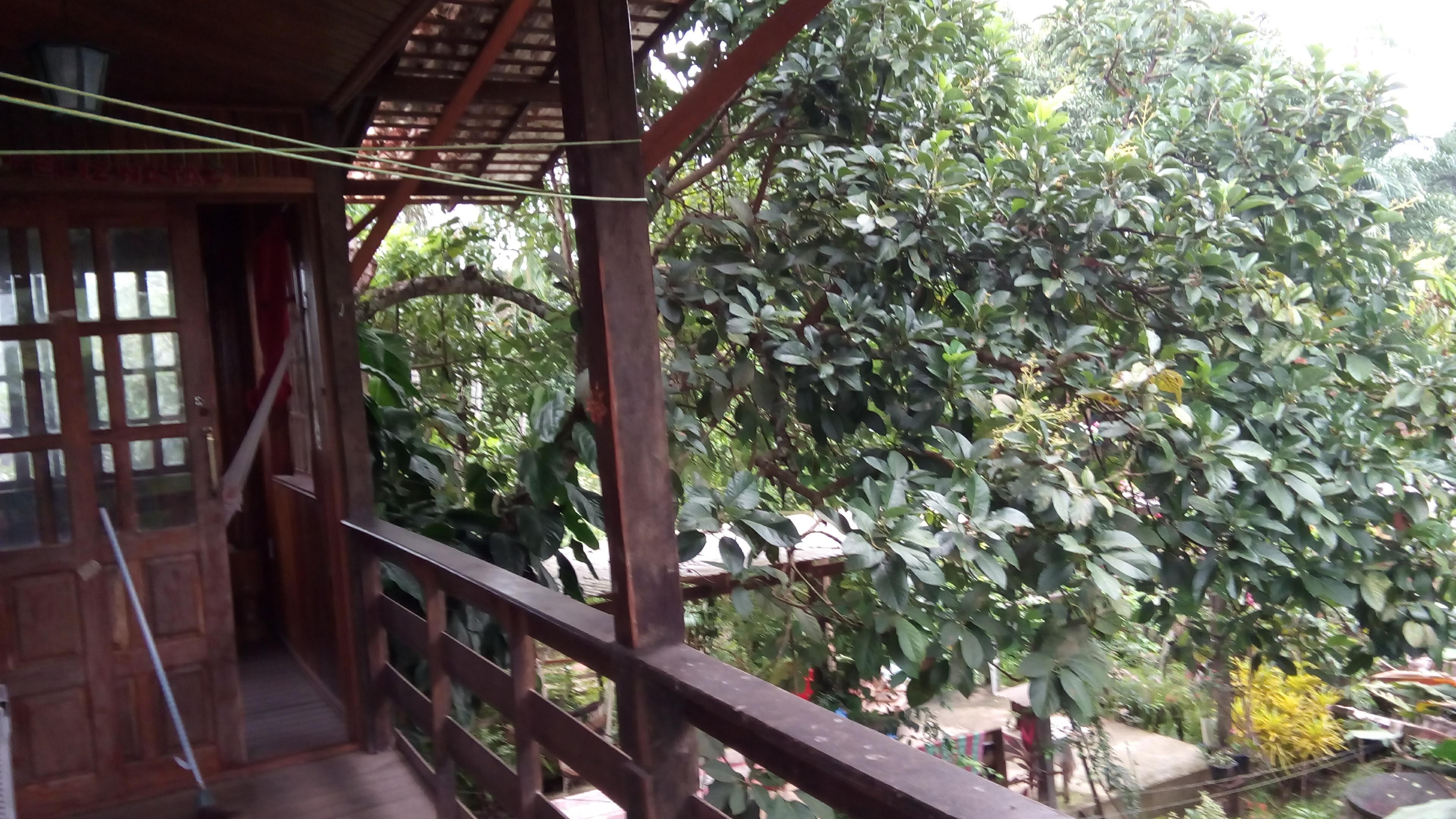 Stay in touch with nature