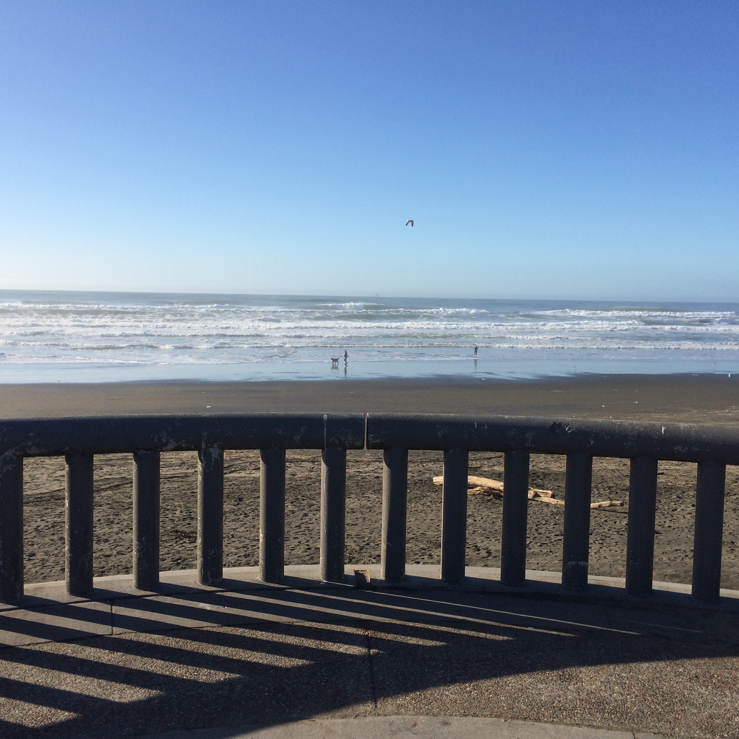 Single Small private 1br 1ba no clean fee!