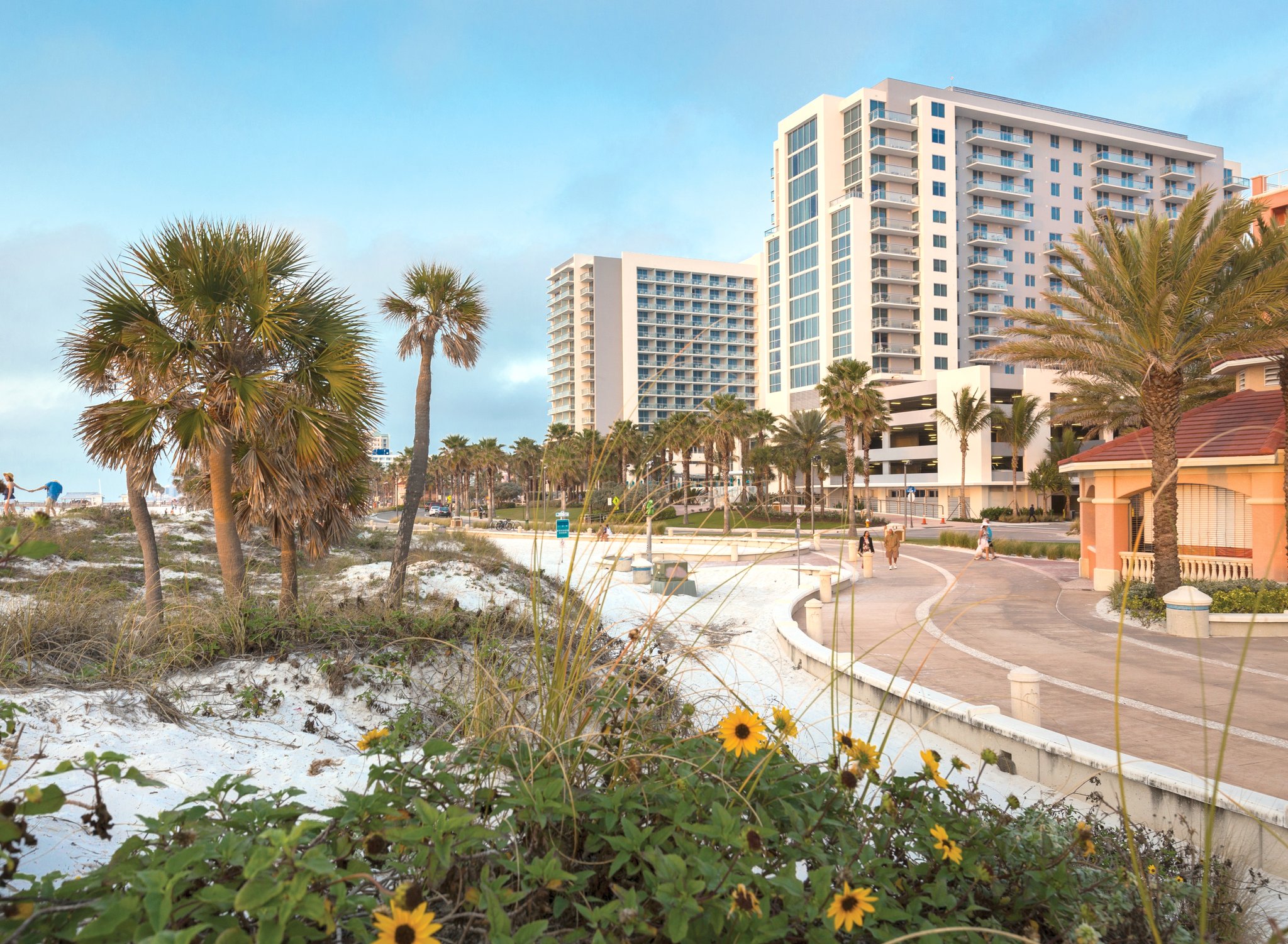 Airbnbs In Clearwater Florida