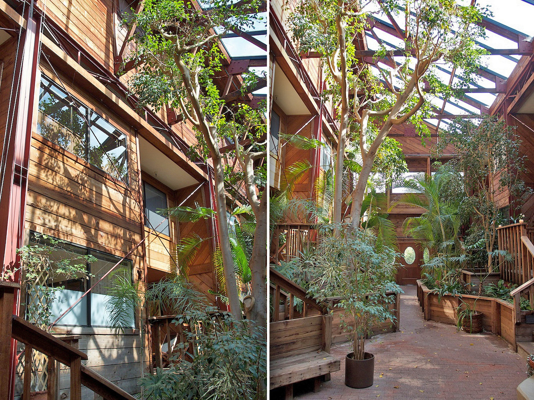 Modern Redwood Oasis in Rockridge in Shafter, Oakland