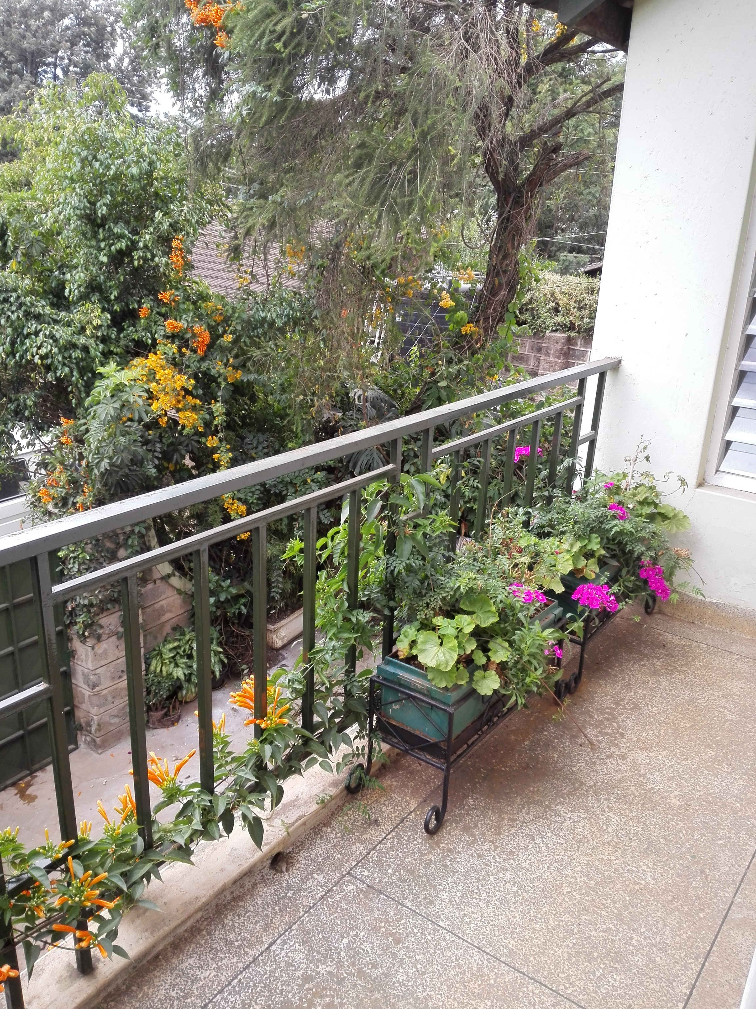 Samawati - Breakfast, lush garden, strong Wi-FI β real-estate in Kibra, Nairobi
