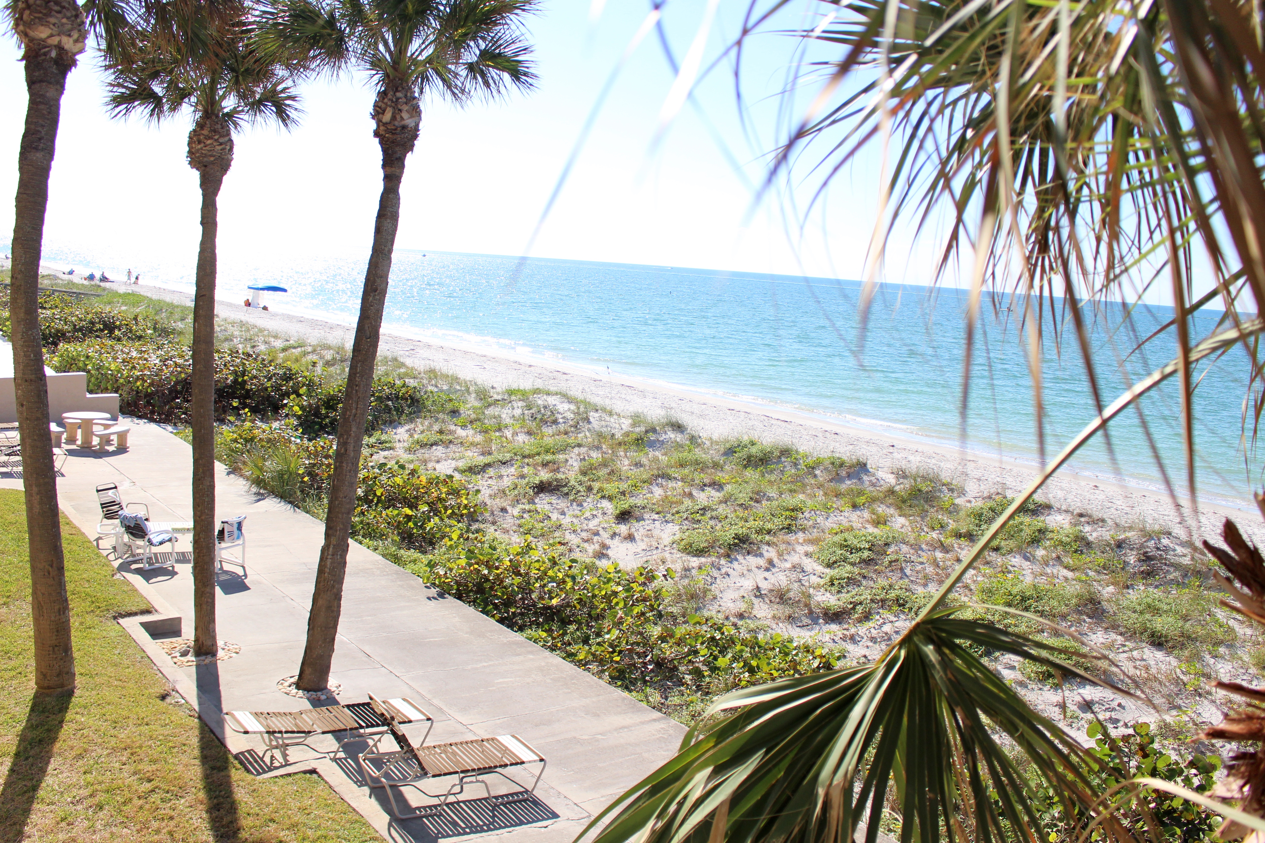 OCEAN FRONT Belleair Beach Condominium