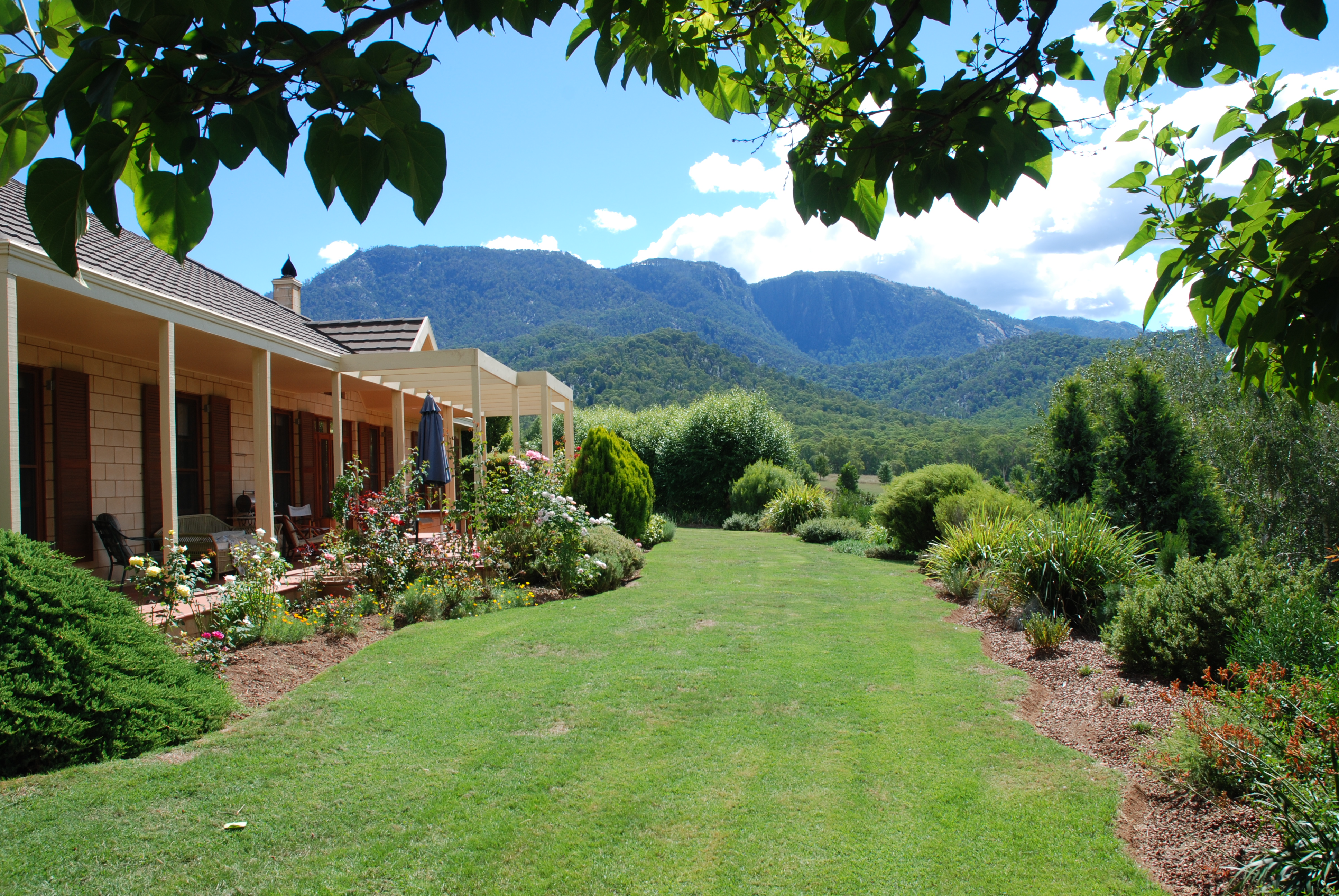 Spectacular Mt Buffalo views from hazelnut farm