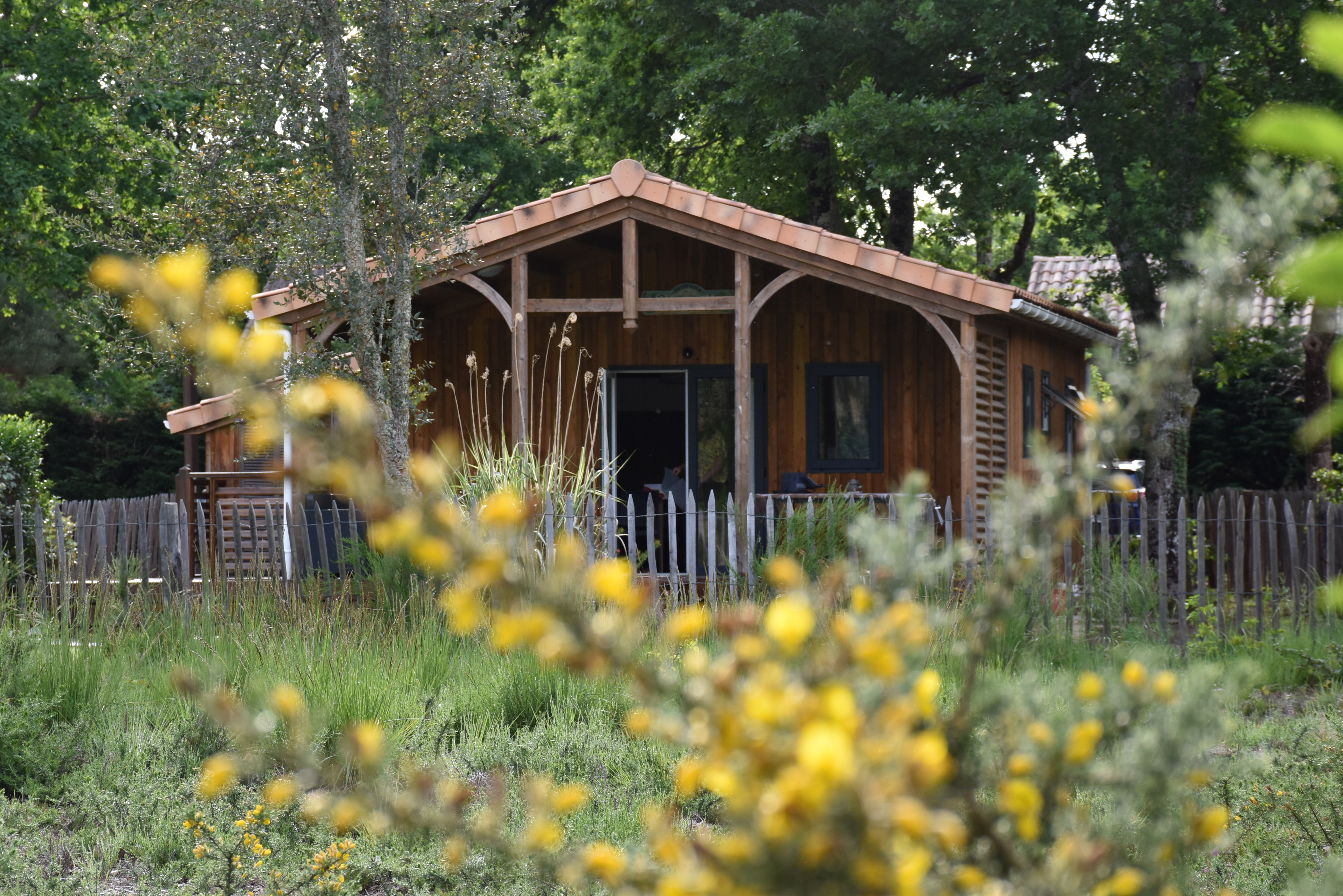 All comfort Chalet in 4* camping with forest view