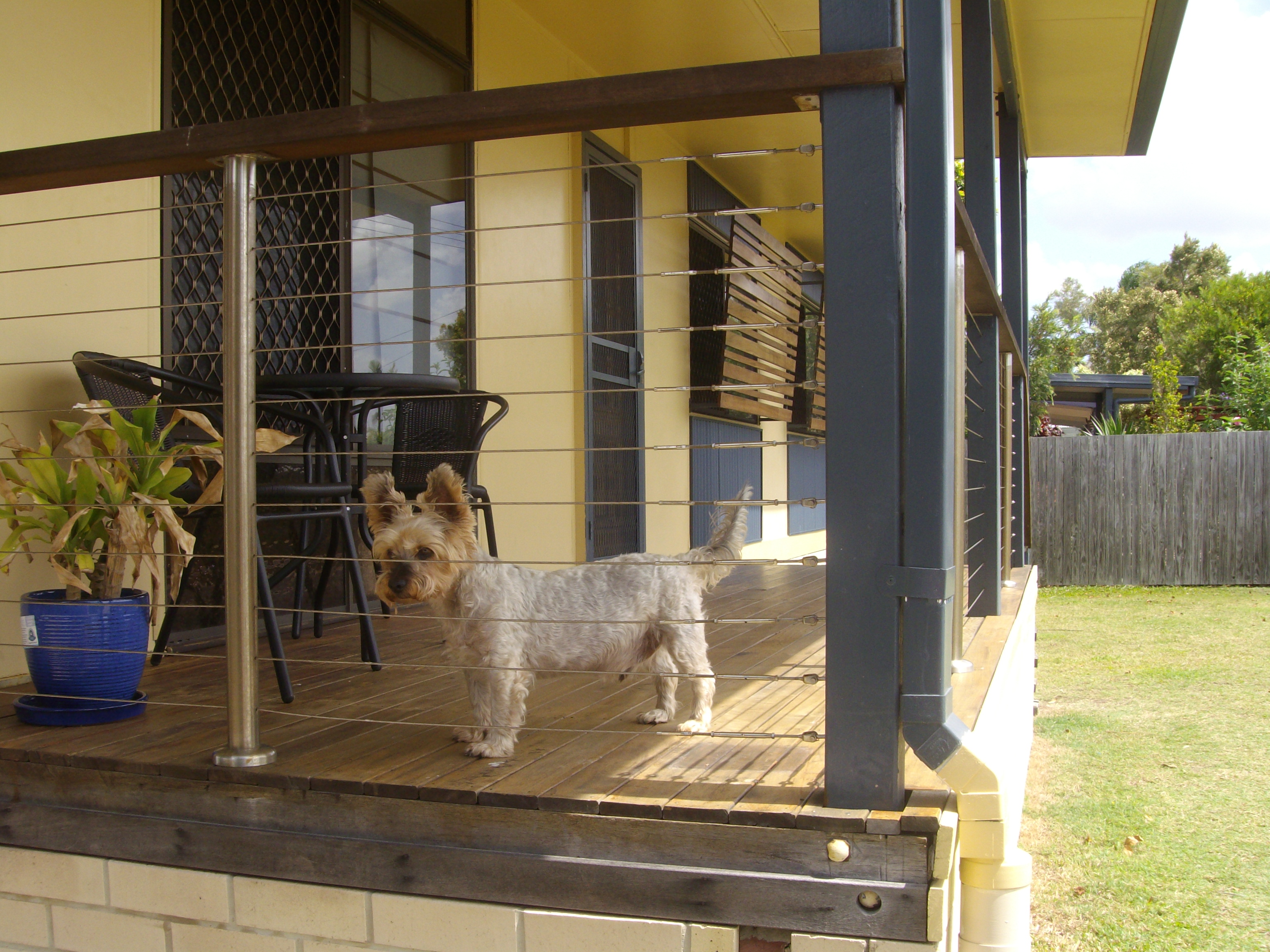 Pet Friendly Houses For Rent In Helena Mtcontribution.Html - fnwuyqh