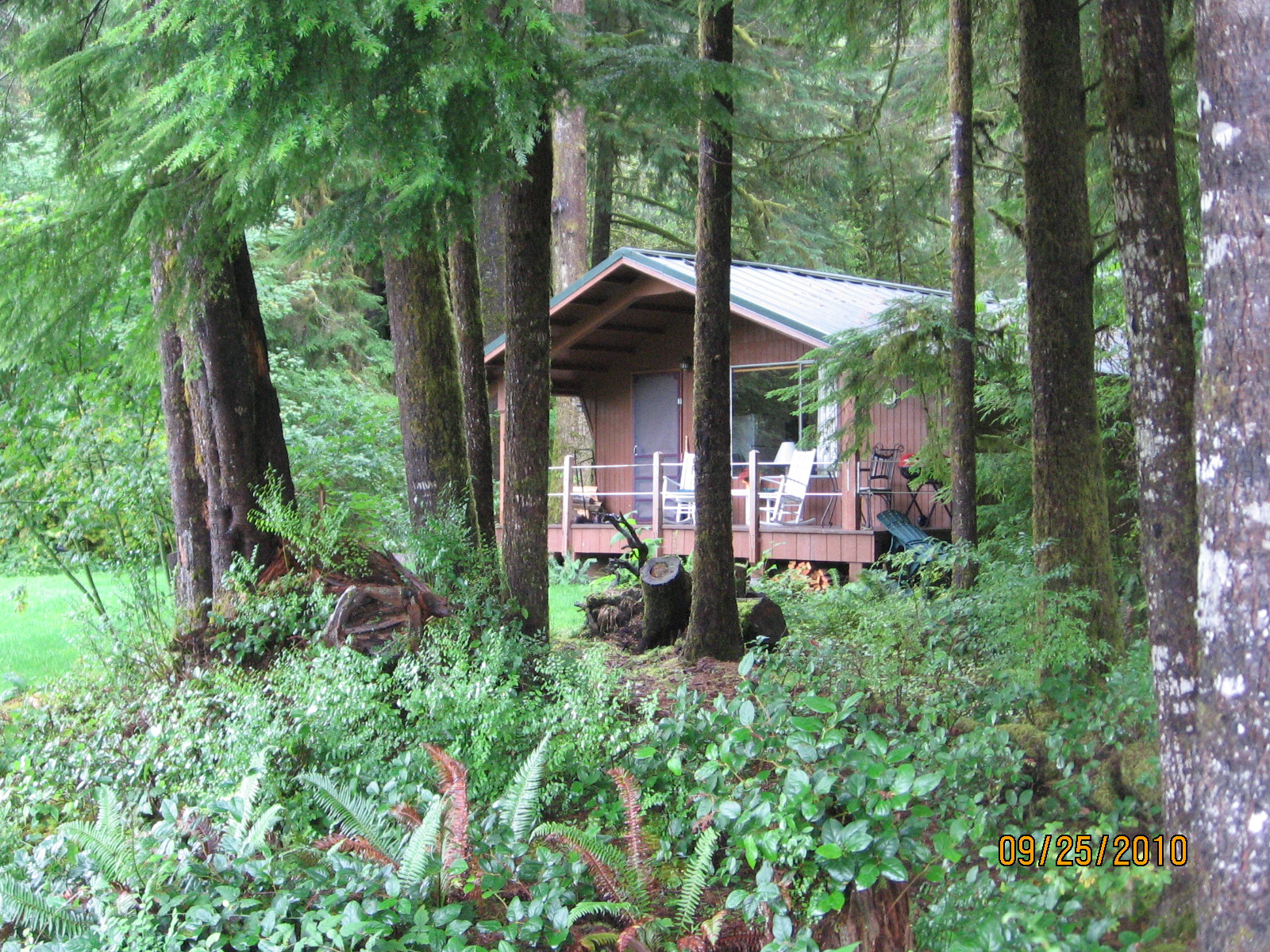 Cozy riverside/rain forest cabin Bogie Bungalow Cabins for Rent in