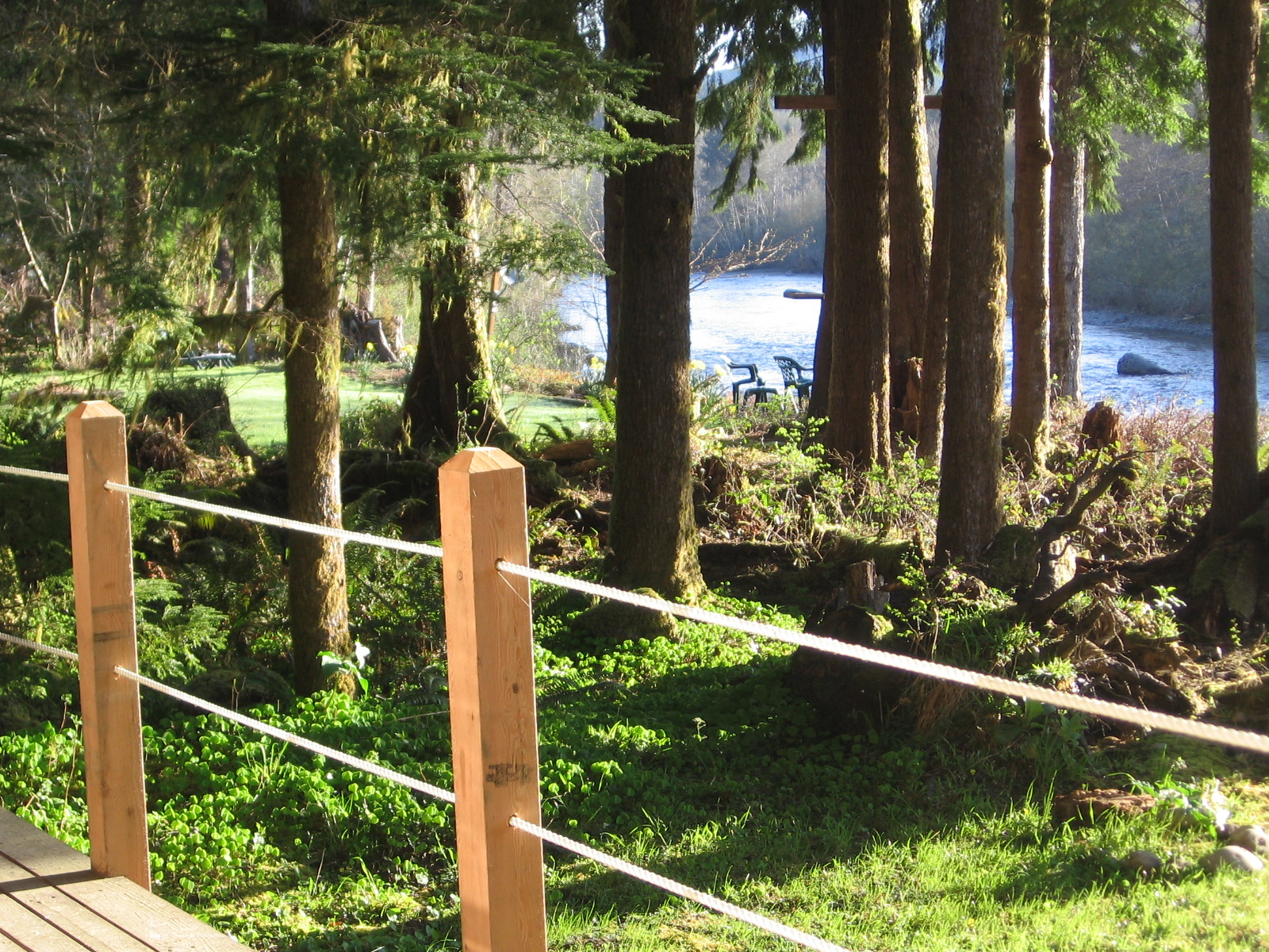 Cozy riverside/rain forest cabin Bogie Bungalow Cabins for Rent in