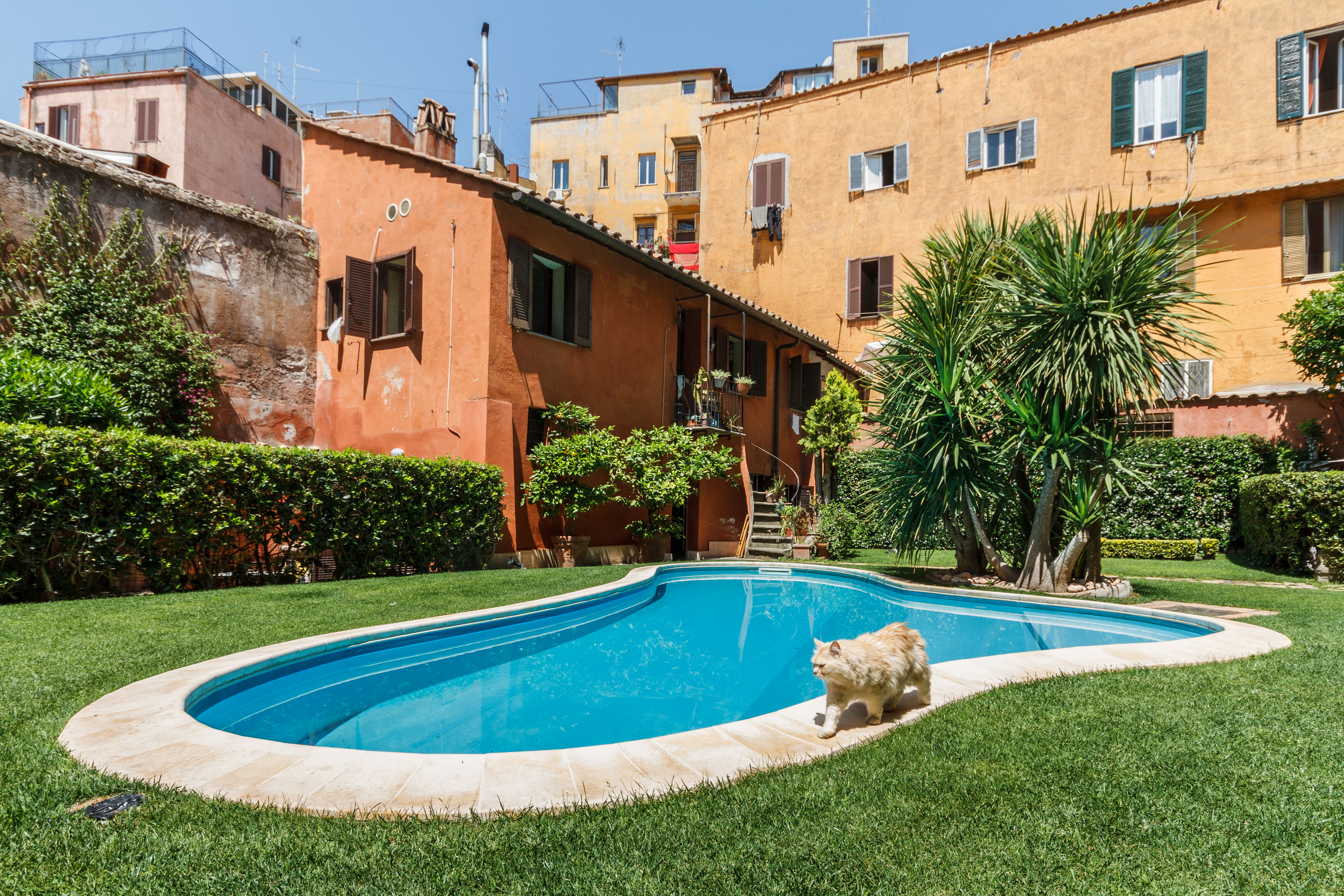 Cozy Rhome with pool and patio, Trastevere, Rome in I Centro Storico, Rome