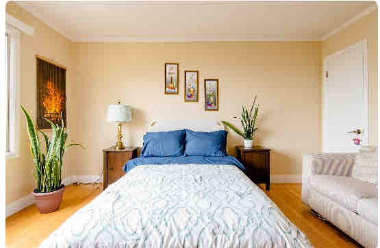 Cozy room in Parkside house