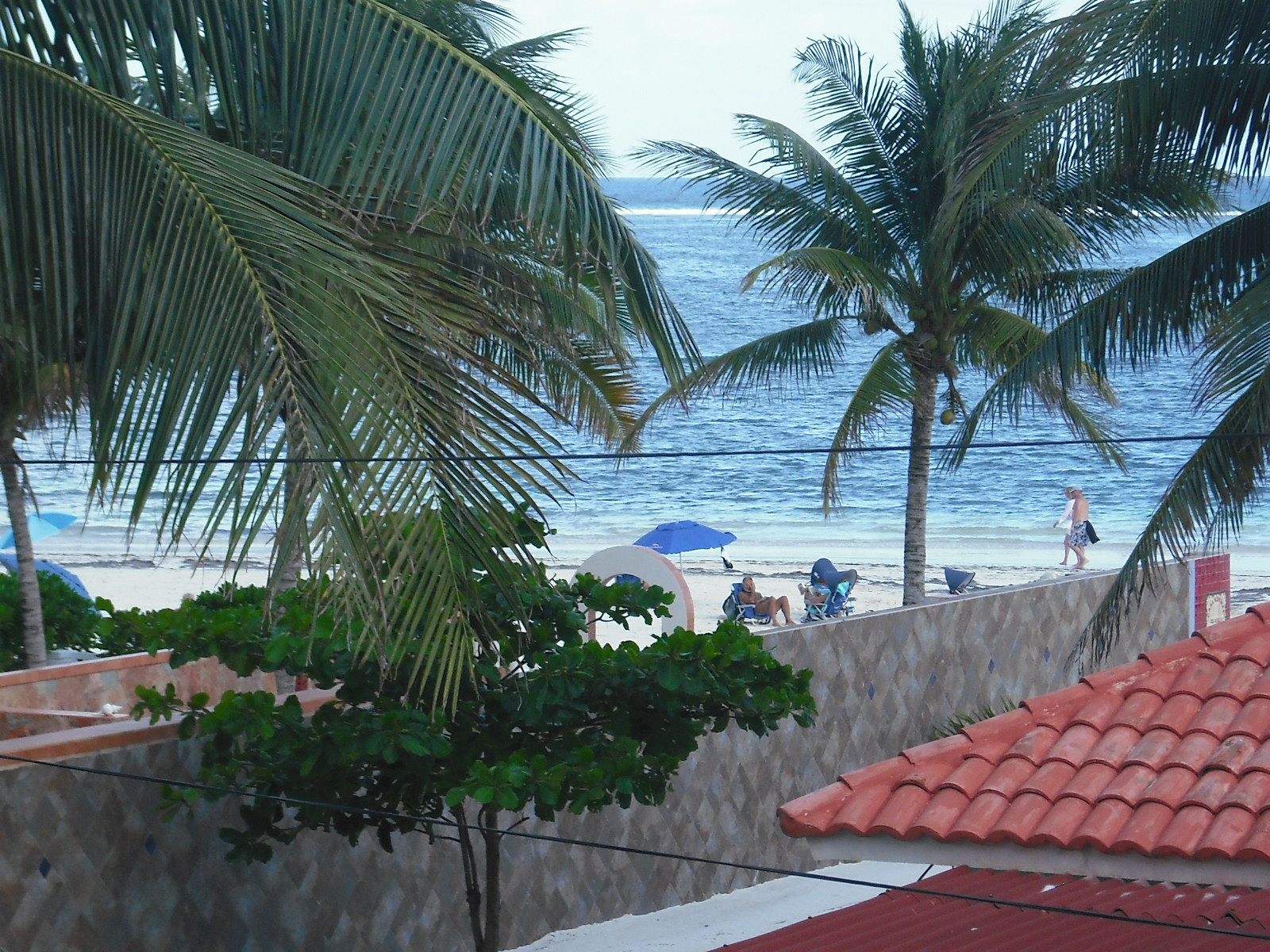BeachCondo B2,Ocean view,Pool,kayak,Paddle bd,Bike