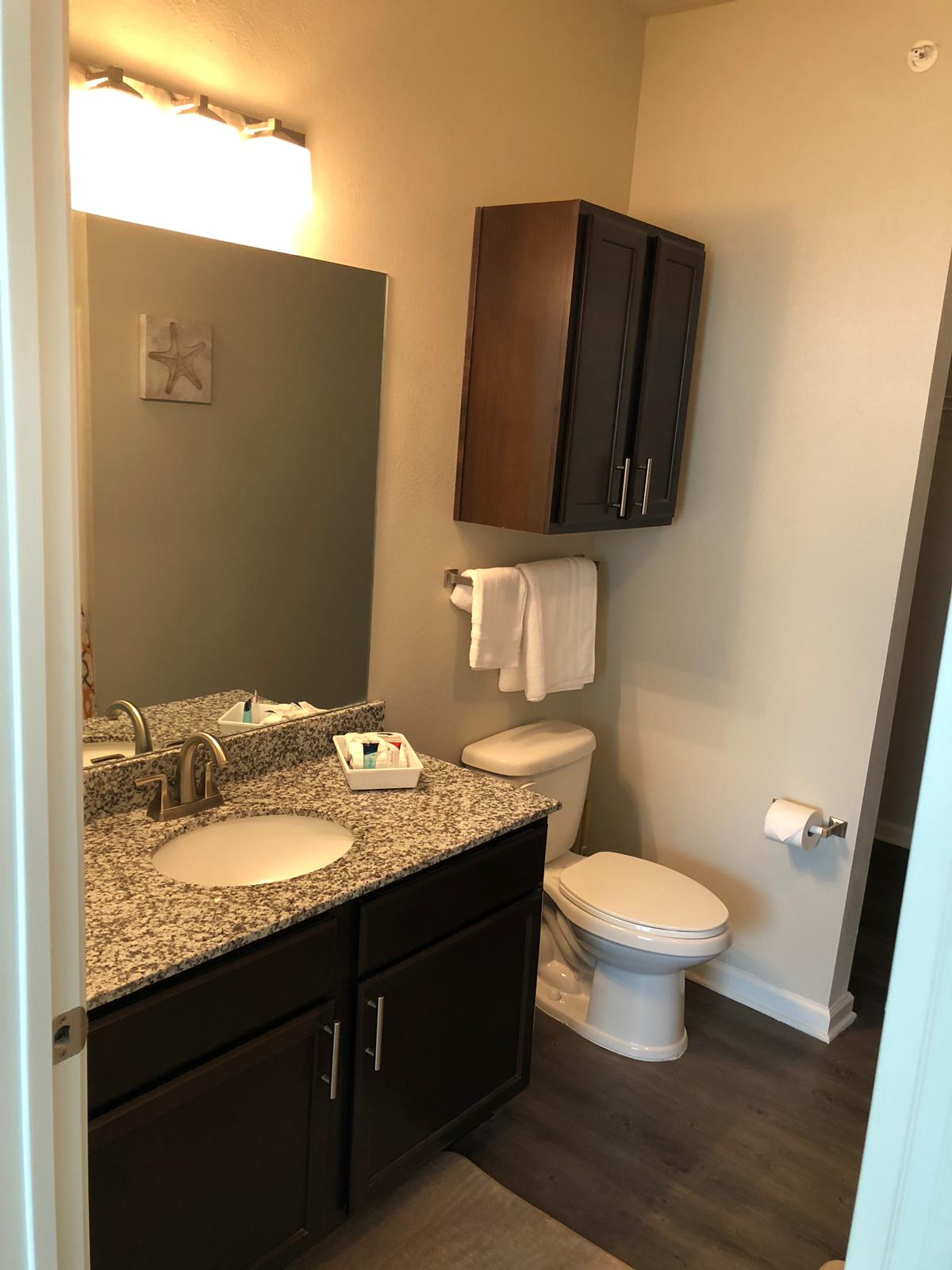 Pool View Premium Furnished Apartment Tomball01 - Apartments for Rent