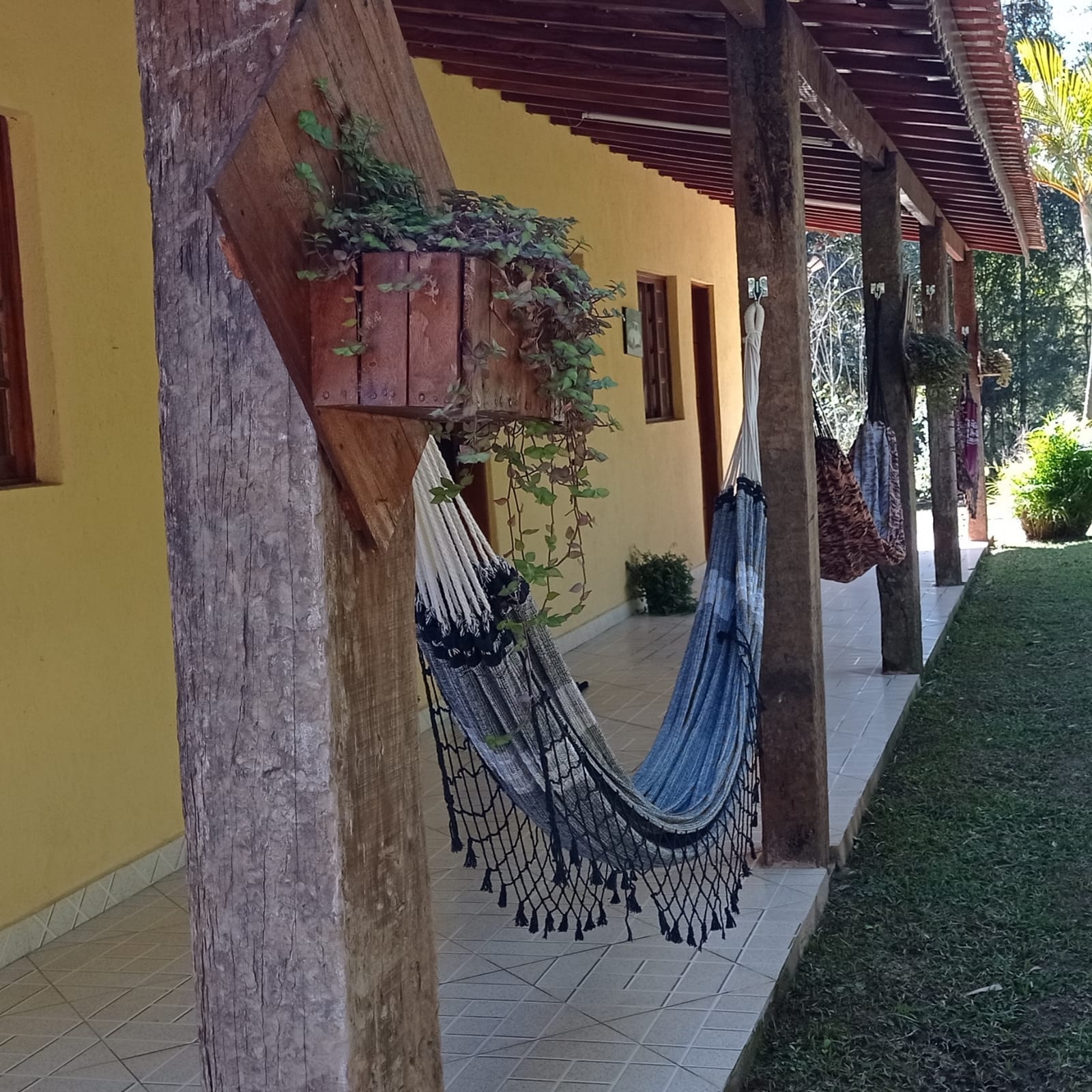 Pousada free flight a date with nature 🌿