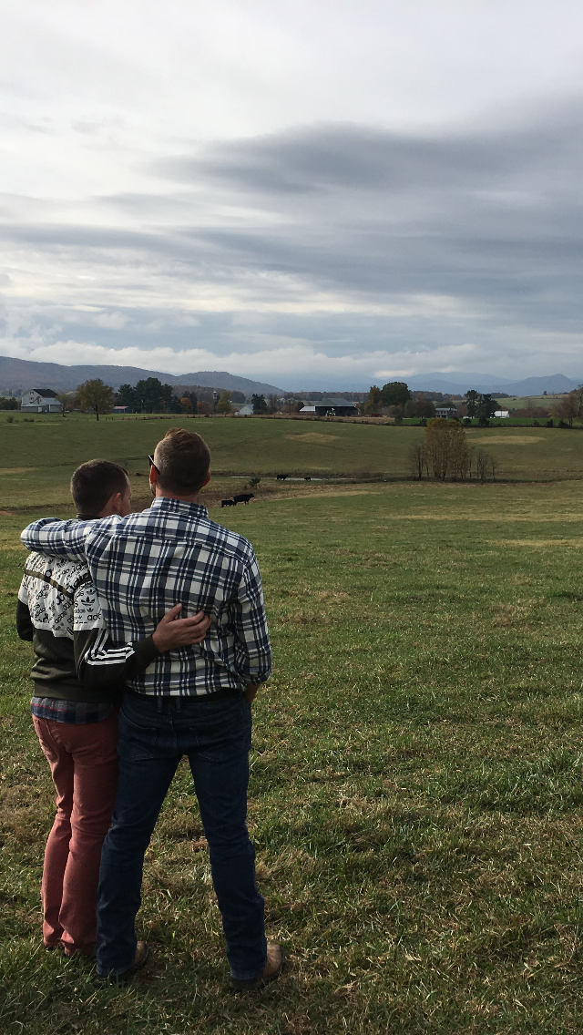 Madeline Farms Farm Stays For Rent In Luray Virginia United States
