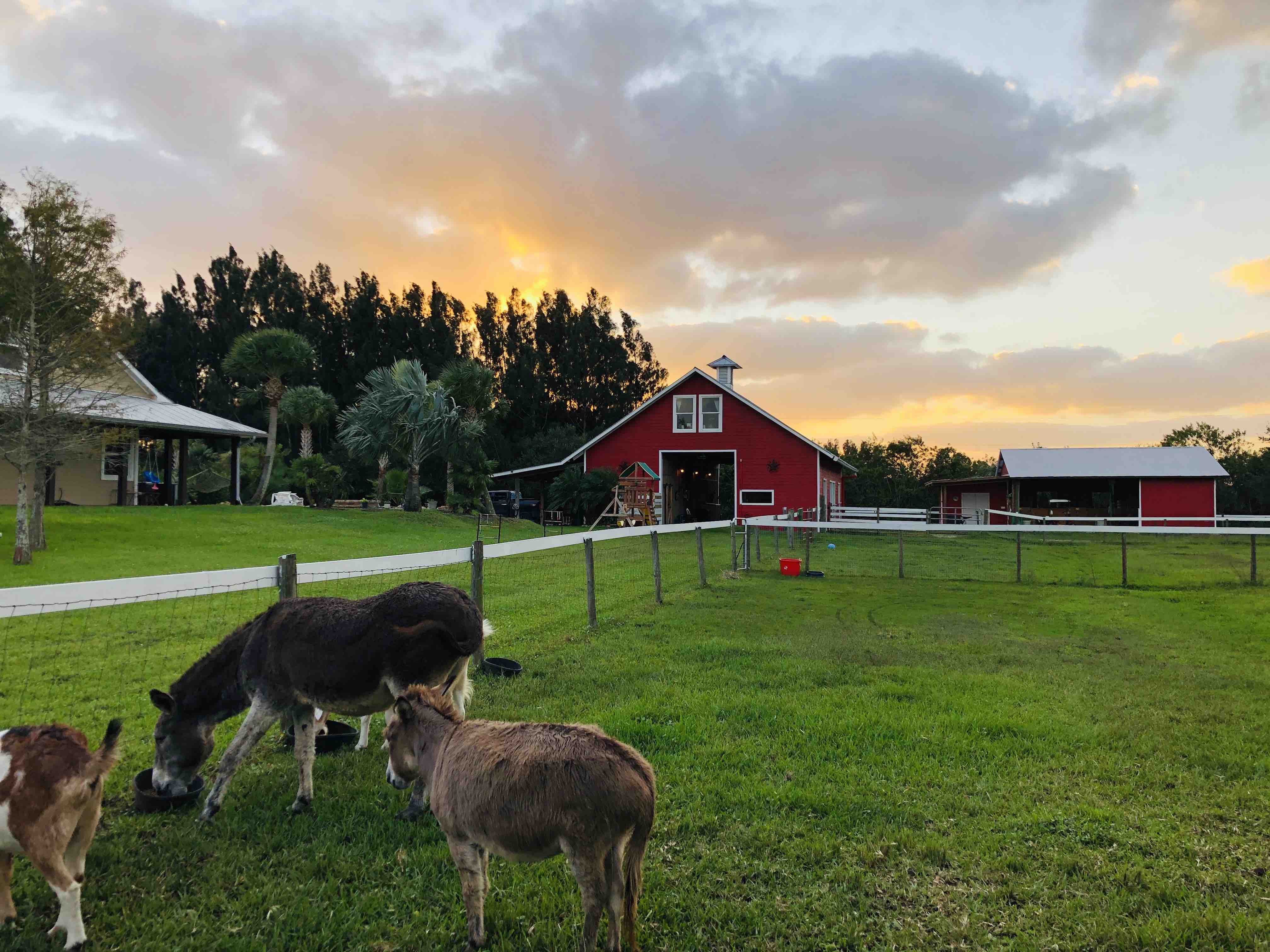 Private Barn Studio at Pura Vida Florida Farm Barns for Rent in Vero