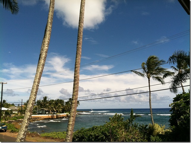 Great Ocean View Prince Kuhio 201 in Koloa-Poipu, Hawaii