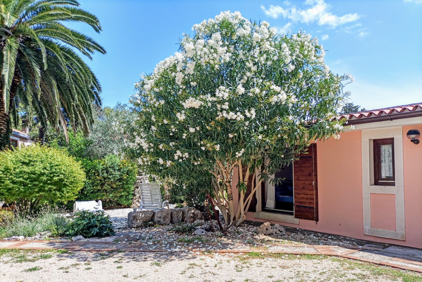Apartment Palma in a lovely garden hidden from view