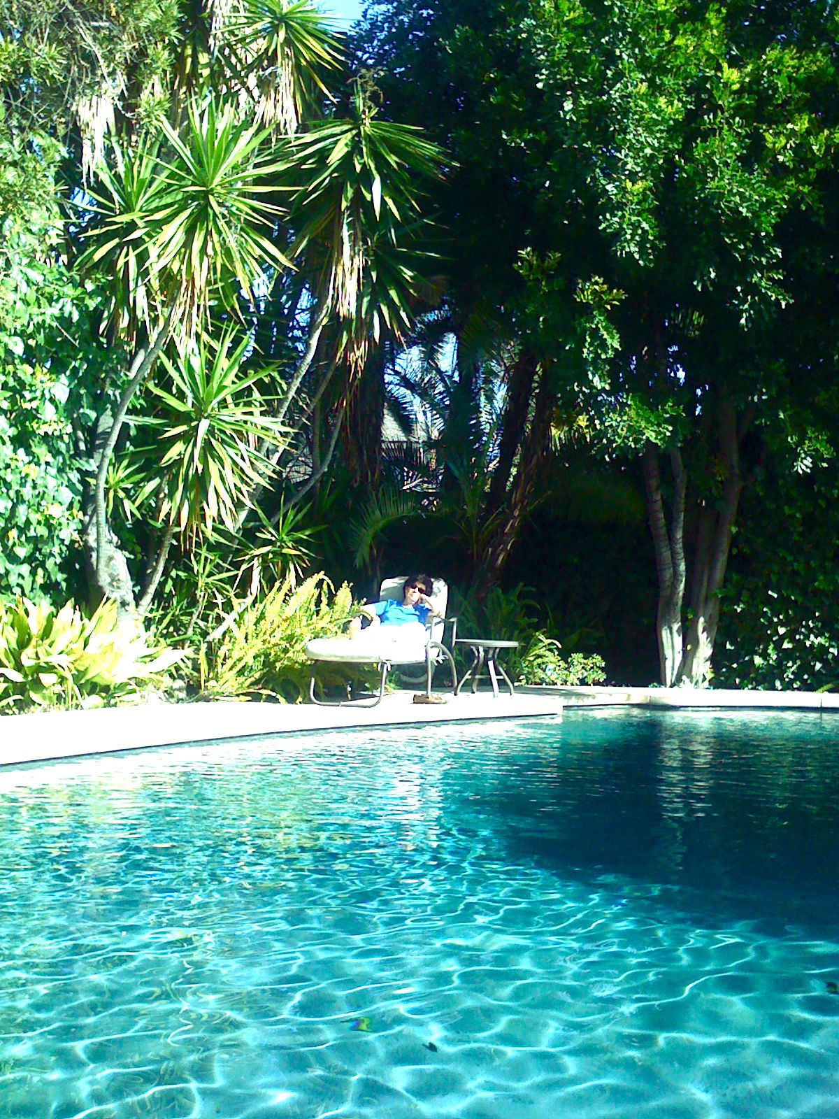 SUNNY HOUSE IN STUDIO CITY