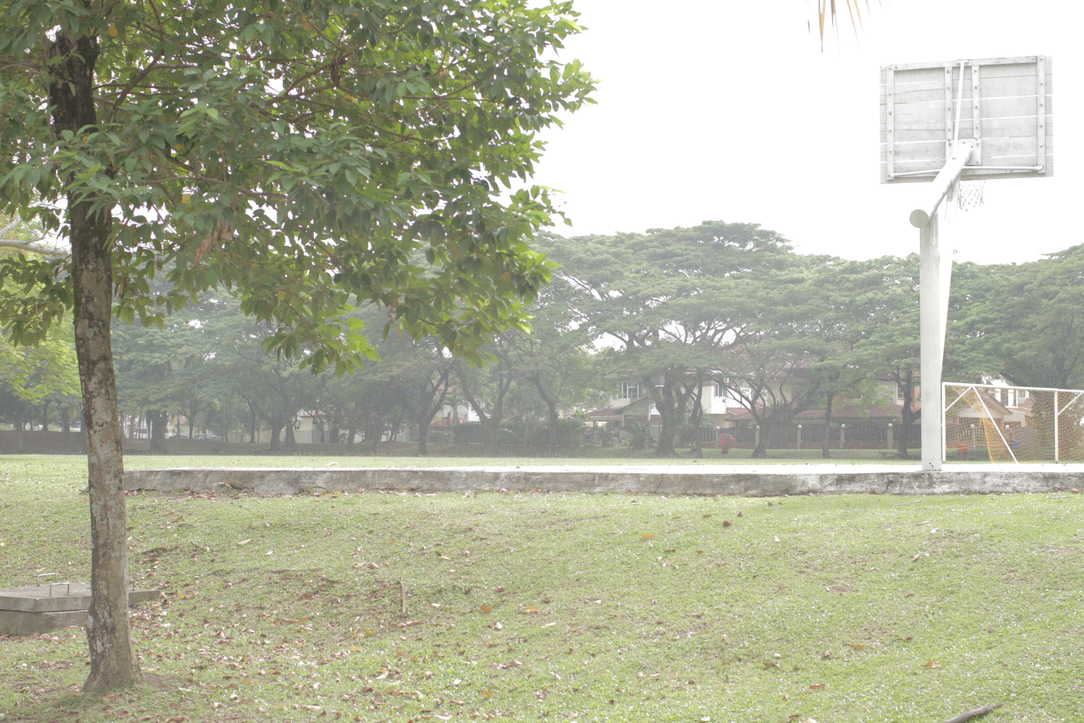 The White House Pool Garden Homestay - Houses for Rent in Shah