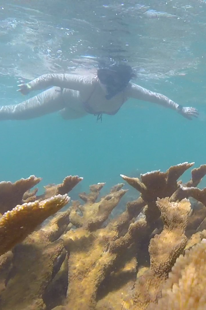 San Juan Snorkeling /Underwater Videos Airbnb