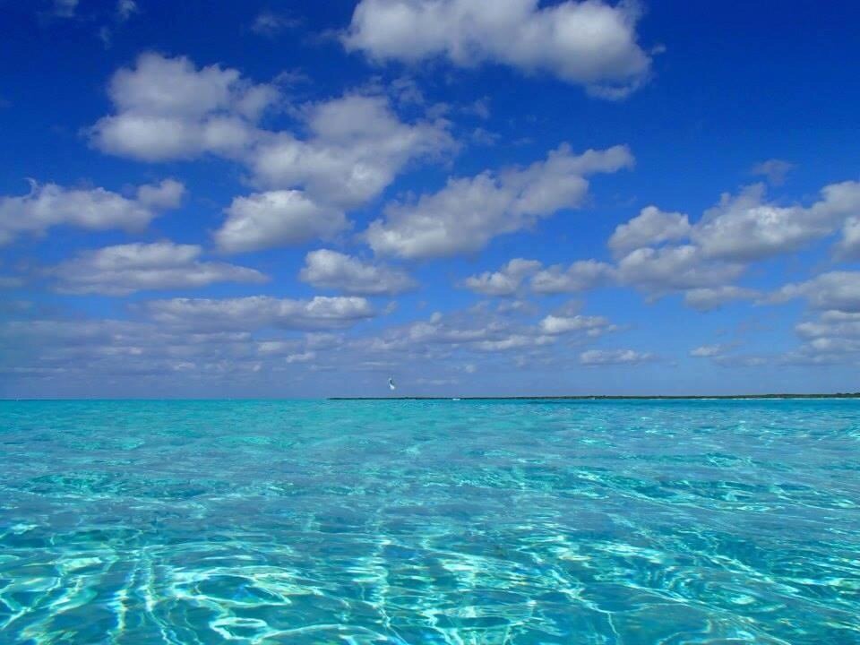 Beachfront 1 bed,1 bath condo Cozumel, MX.