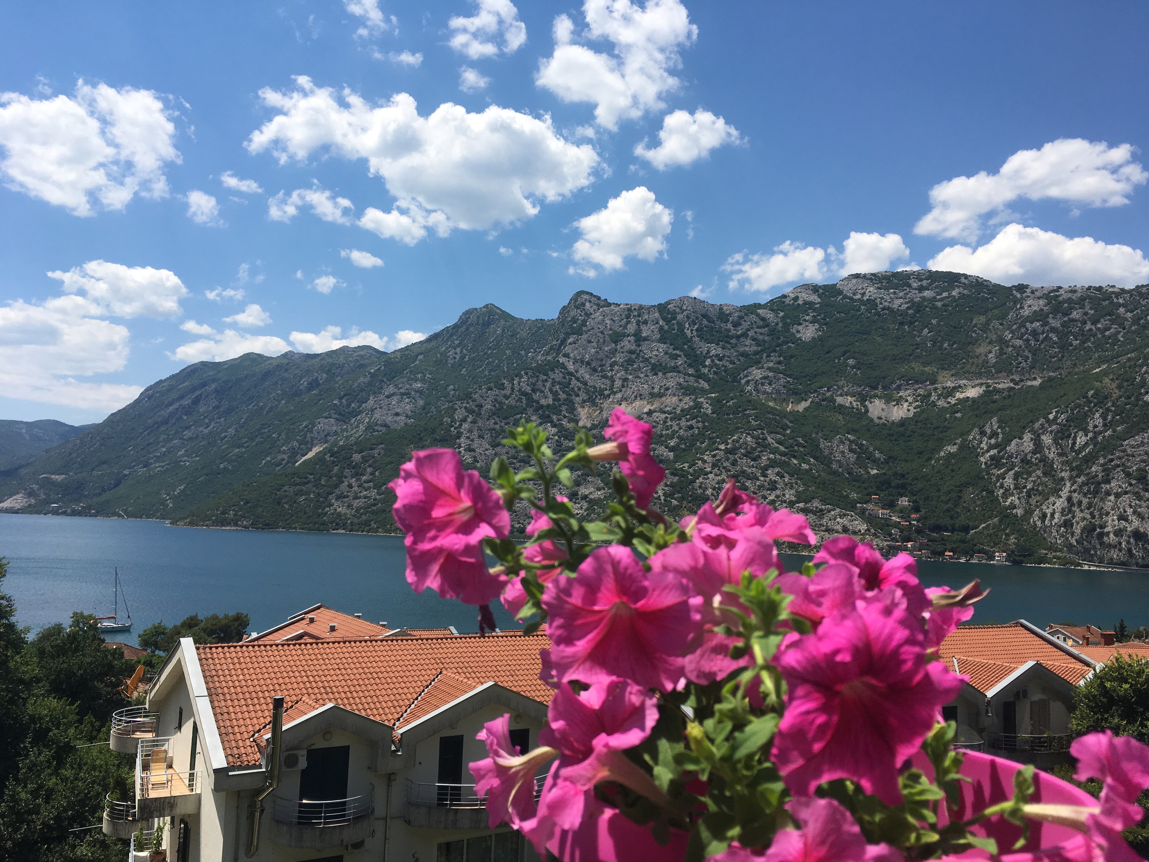 Apartman Nina2
