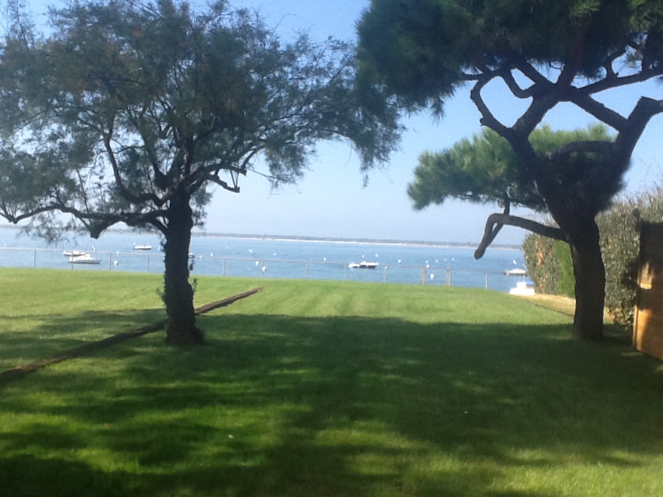 feet in the water, stunning views