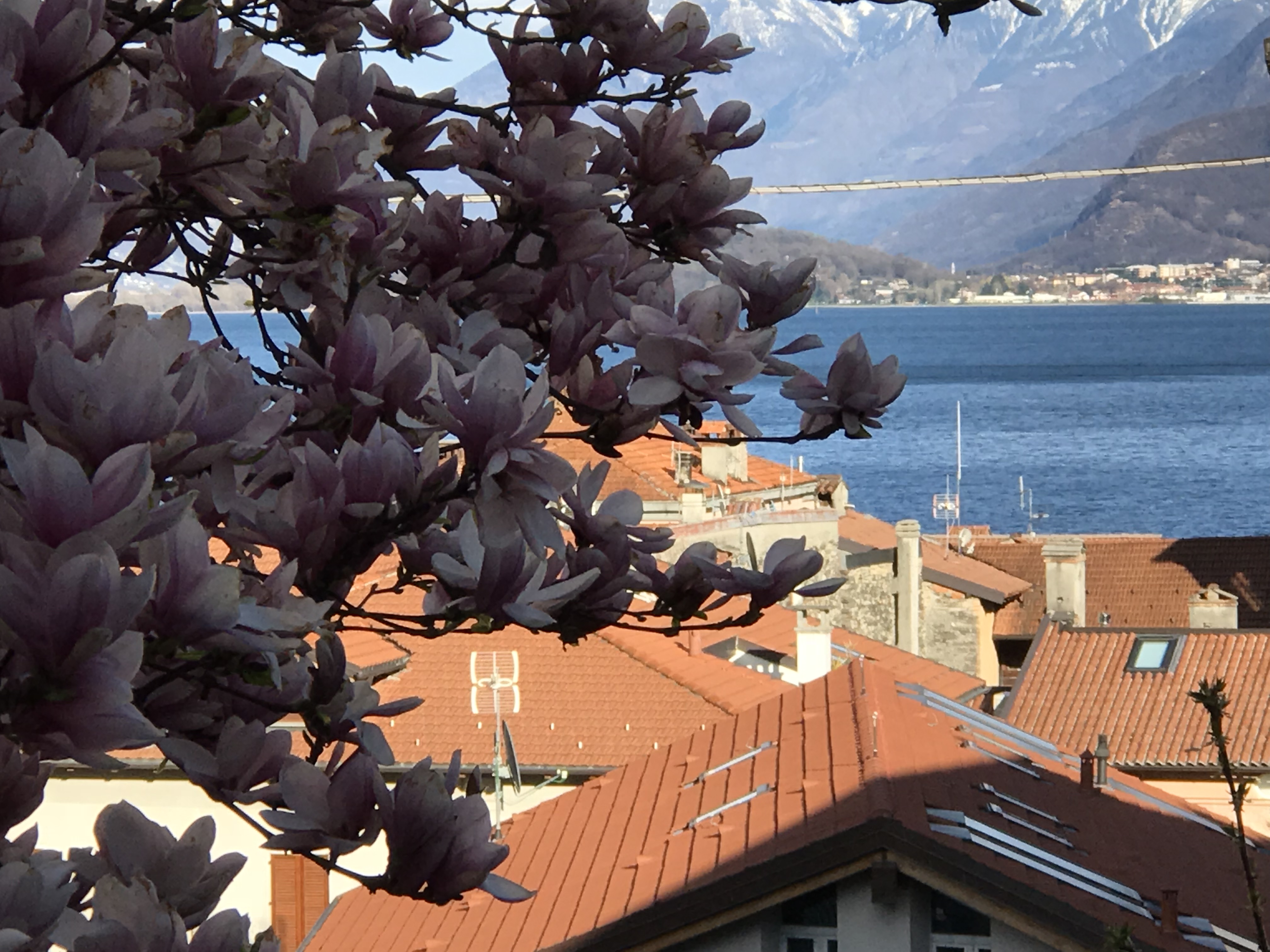 Casa degli ibischi and piano. Lake Como.