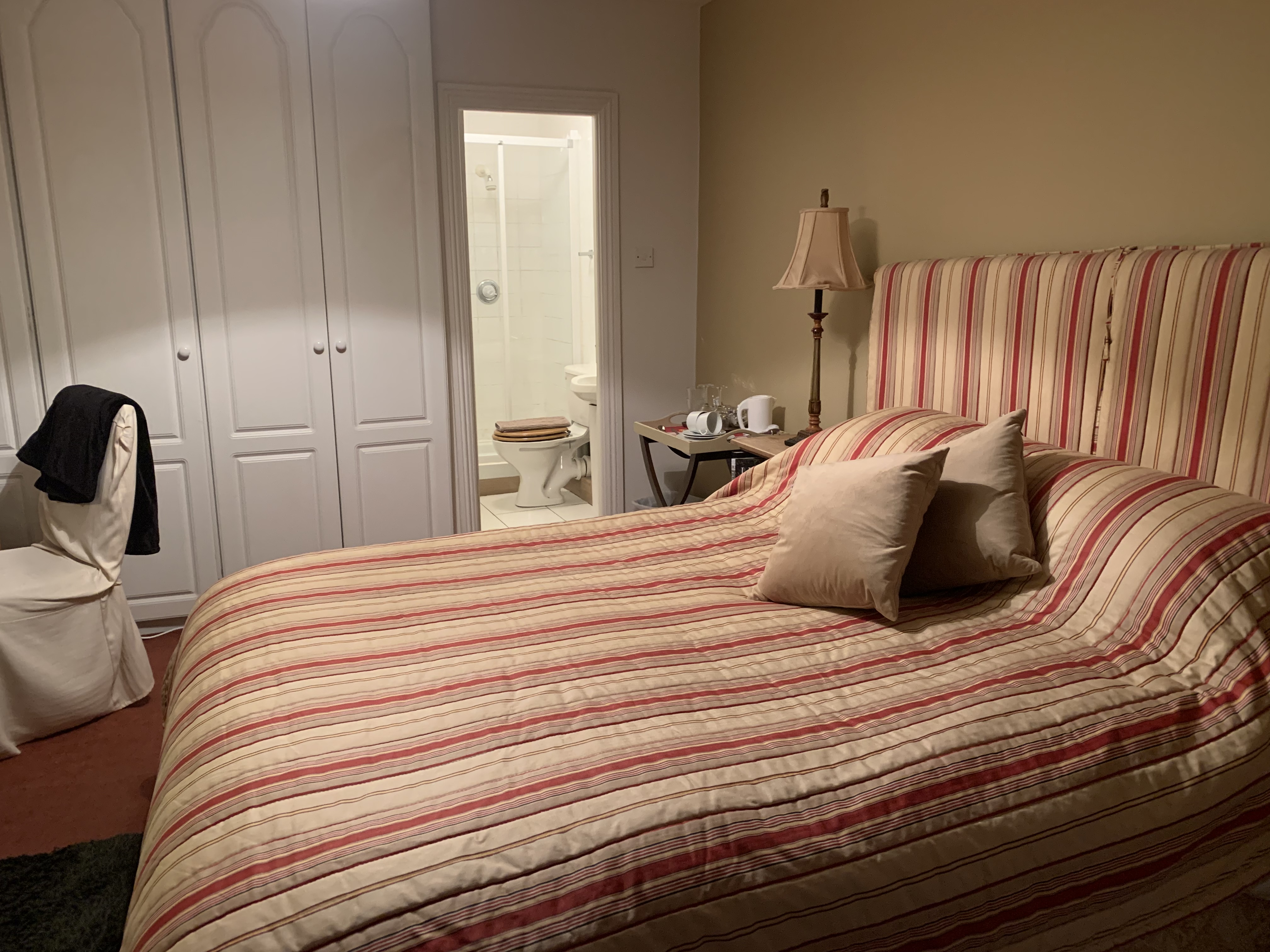 Bed double /own bathroom Baggot St, Aviva stadium