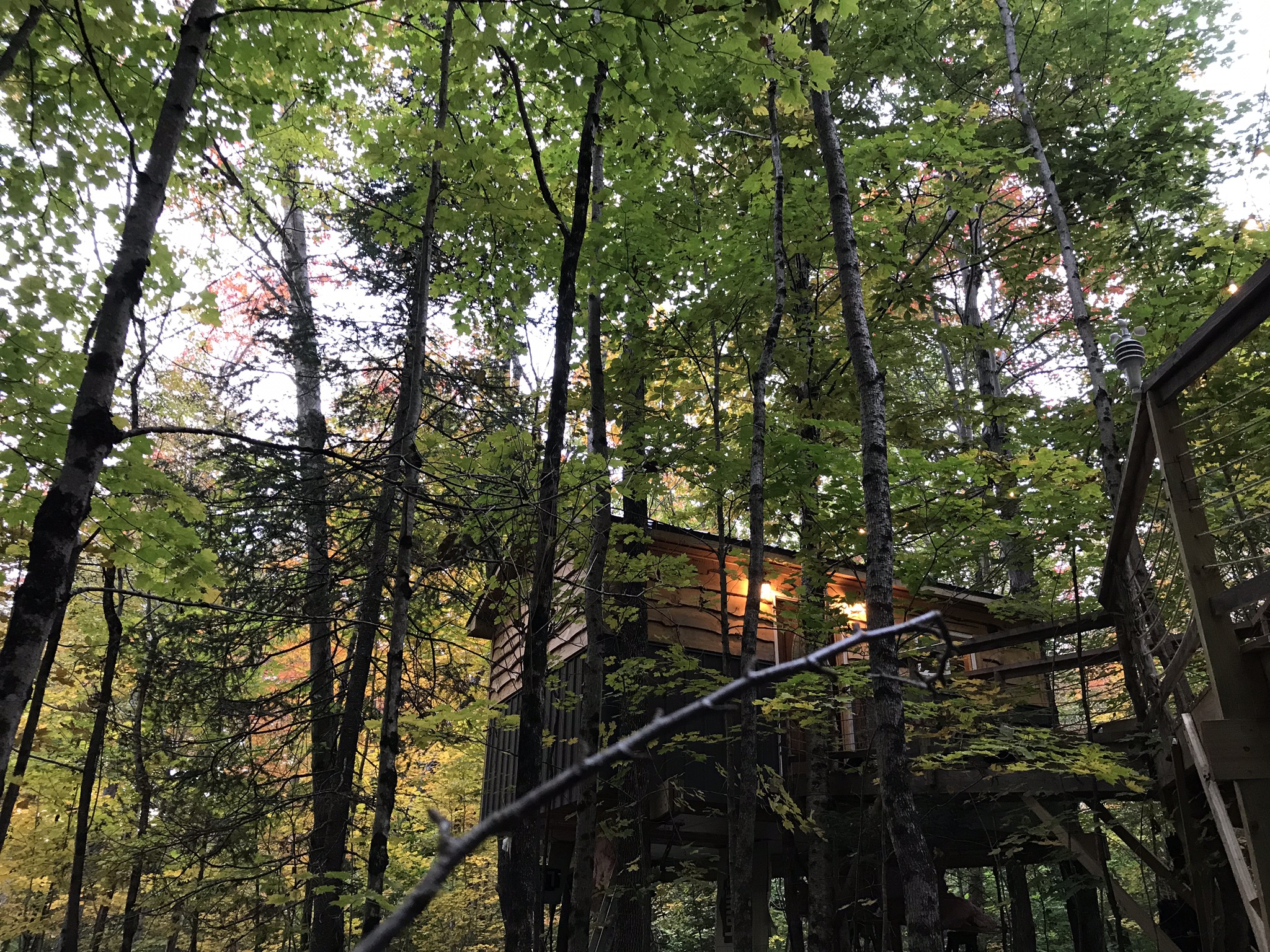 Ash hill treehouse, in the Adirondacks Treehouses for Rent in Port