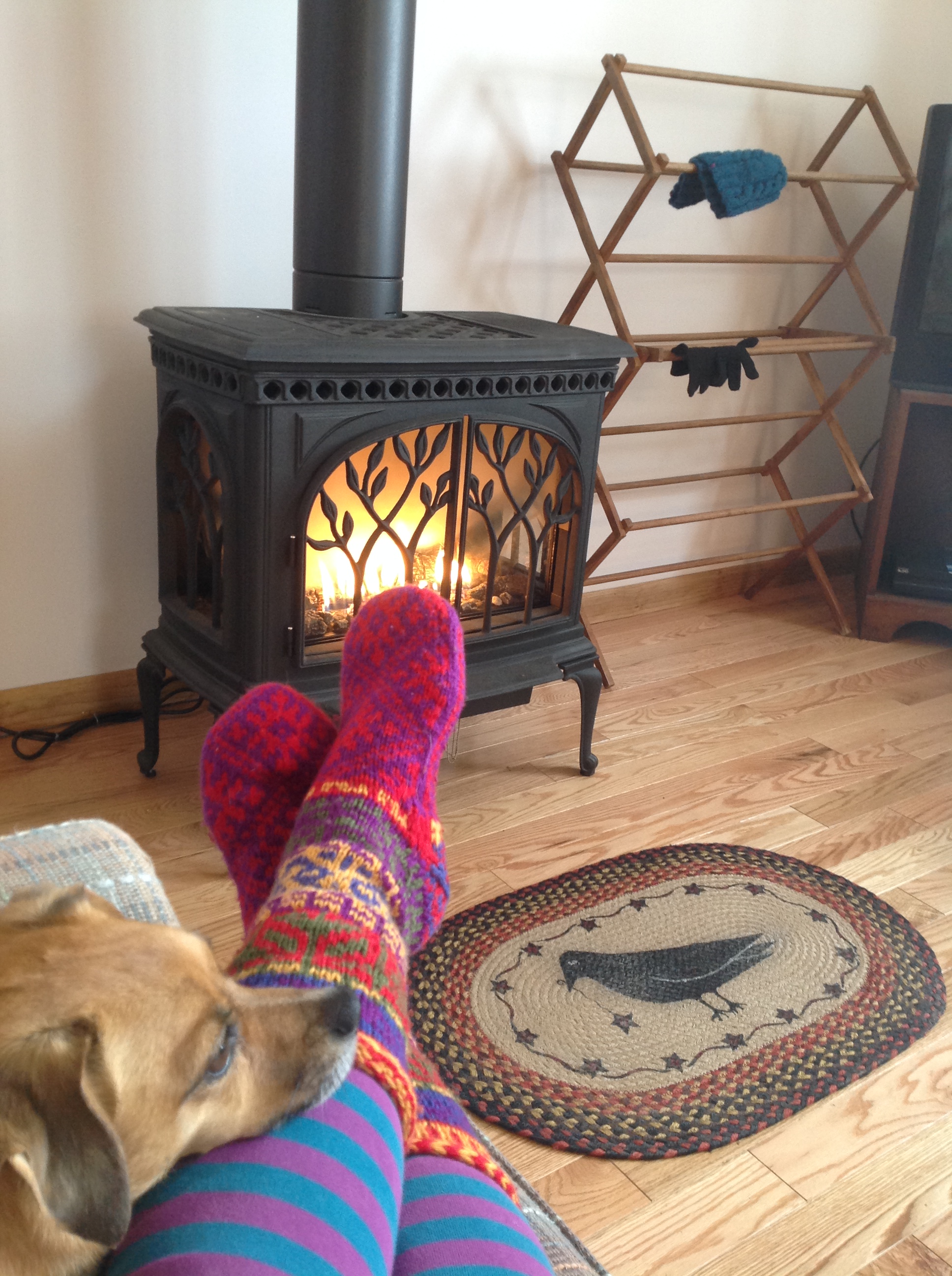 Crows Nest Cabin EcoForestFarm Cottages for Rent in Rexville, New