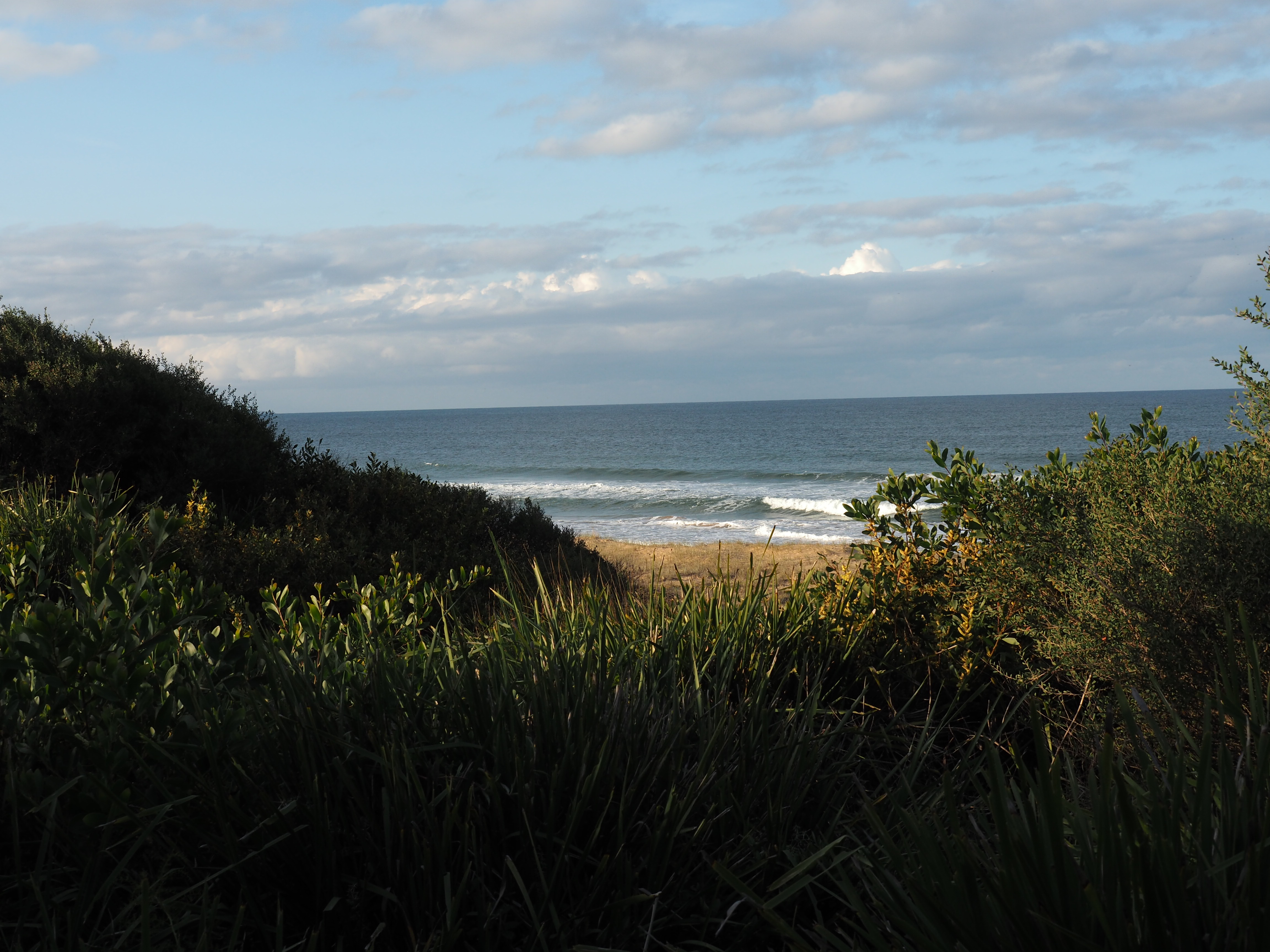 Culburra Beach Tree House