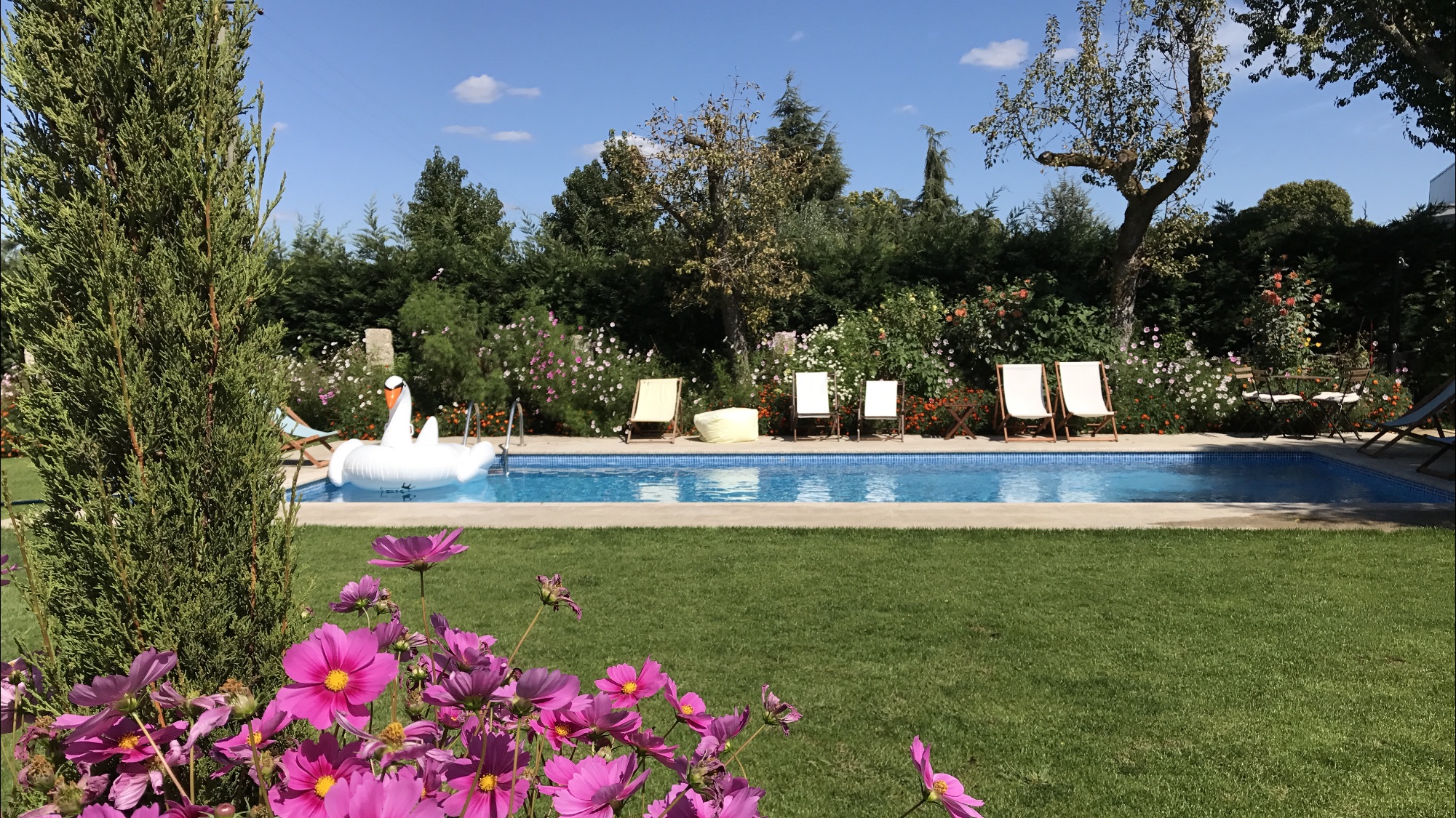CASA DA PRAÇA, COMFORT AND WELLNESS
